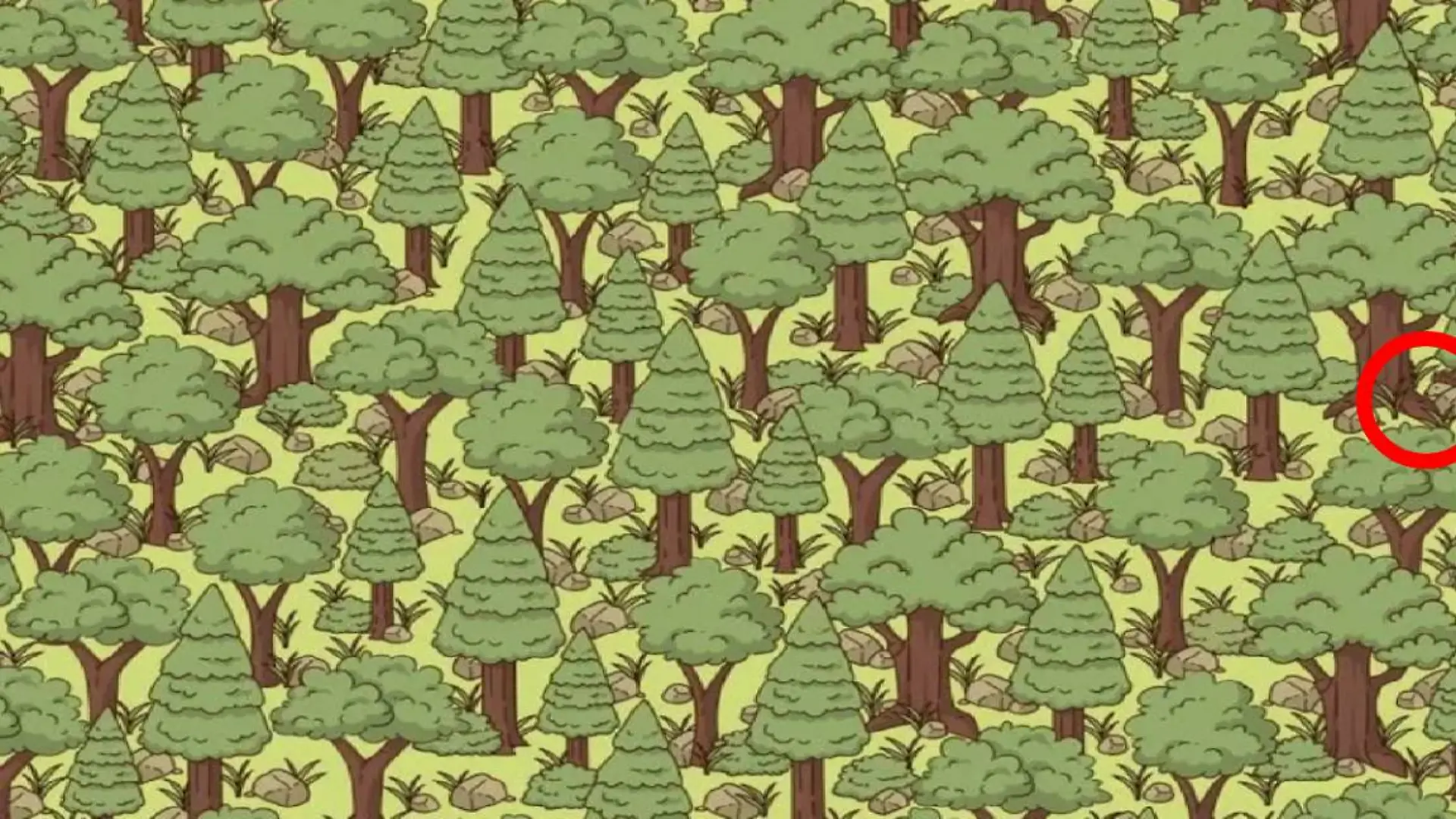 Auflösung Suchbild Igel