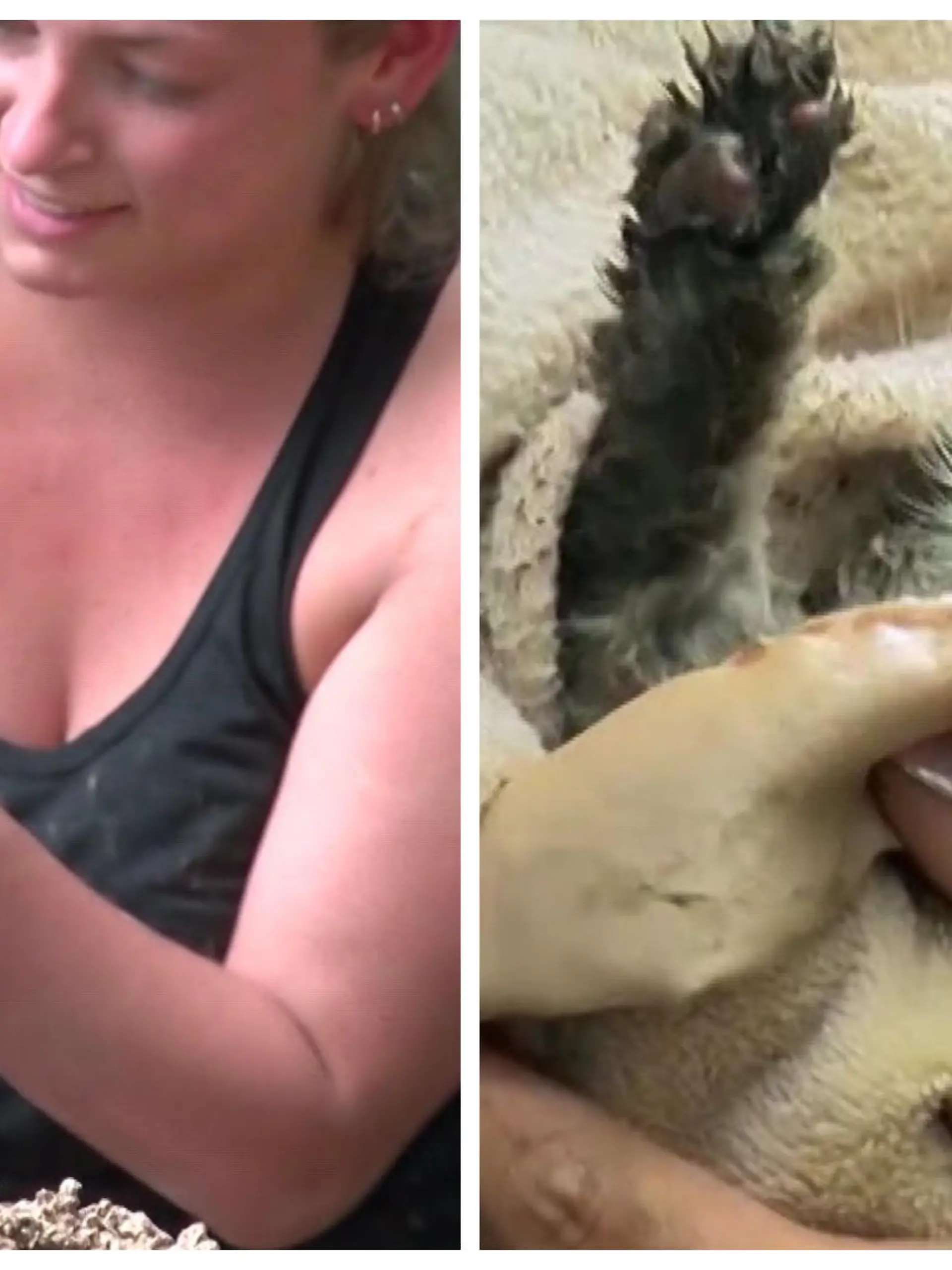Besorgte Nachbarn verständigen freiwillige Tierretter. Sie haben ein Kätzchen gesehen, das in ein freiliegendes Abflussrohr gefallen ist und dort fünf Tage lang feststeckt. Den Moment der Rettung seht ihr im Video.