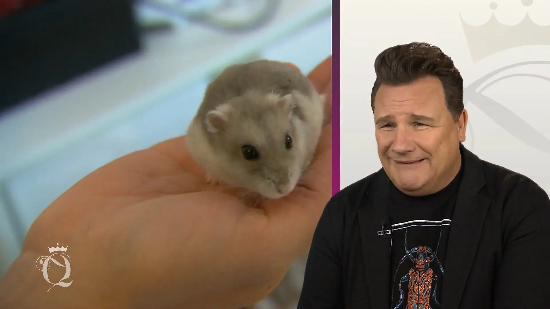 Bei diesen Tierchen wird es Guido ganz anders Igitt, nein!