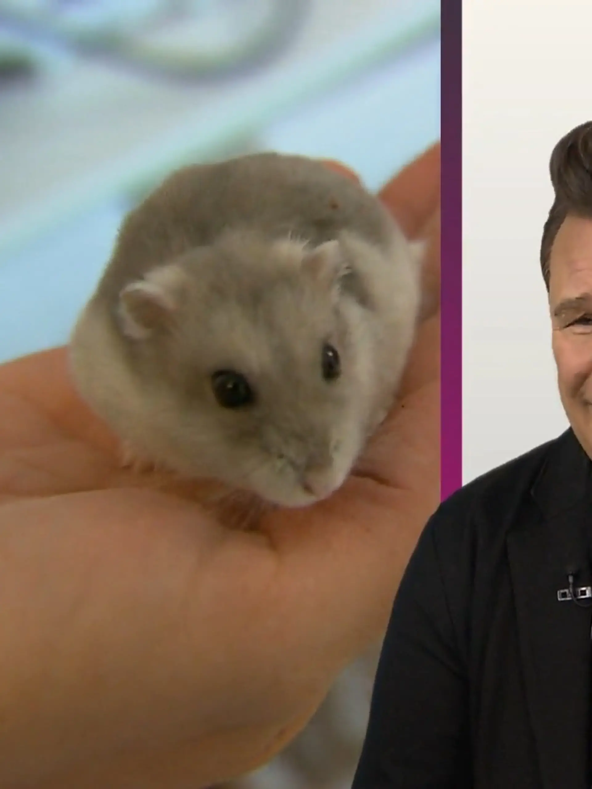 Bild zu: "Bei diesen Tierchen wird es Guido ganz anders"