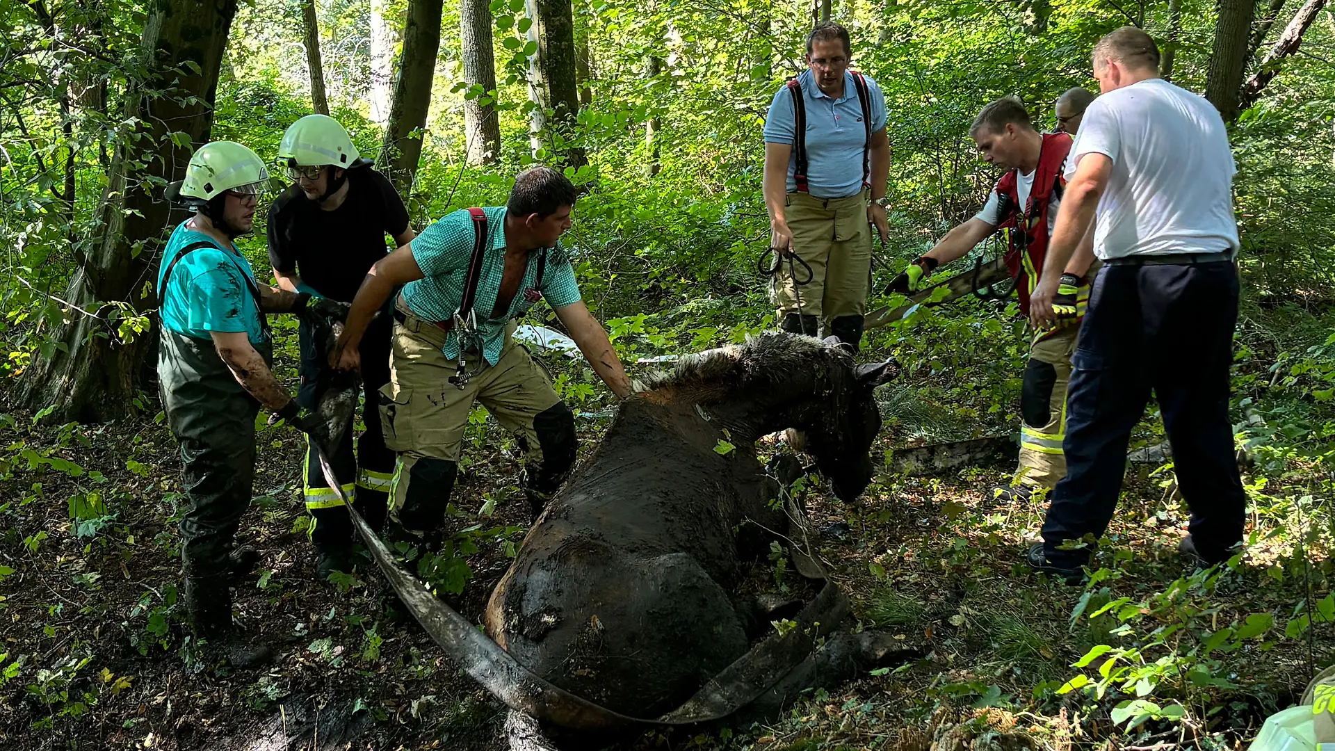 240901Tierrettung2.jpg