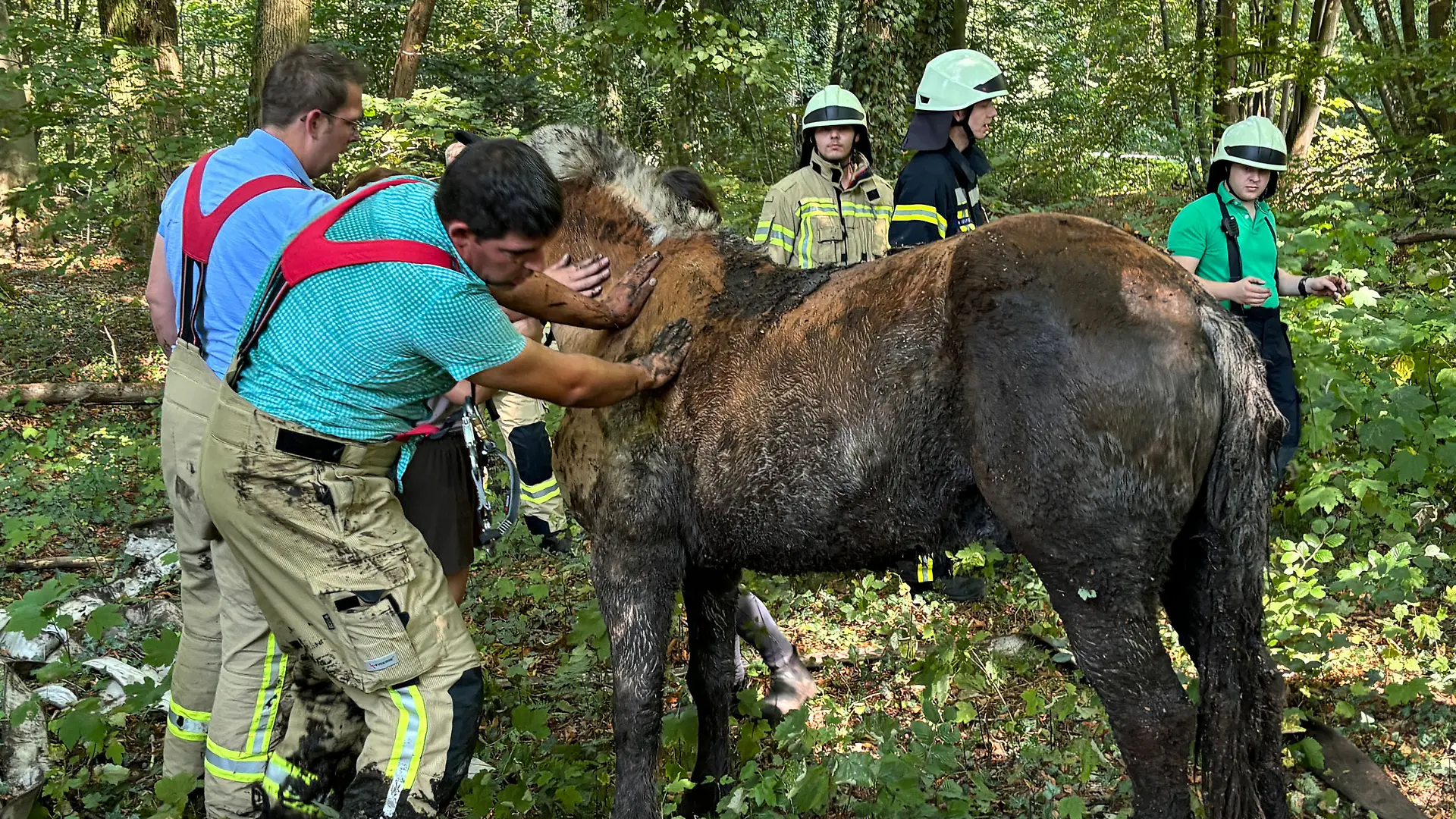 240901Tierrettung3.jpg