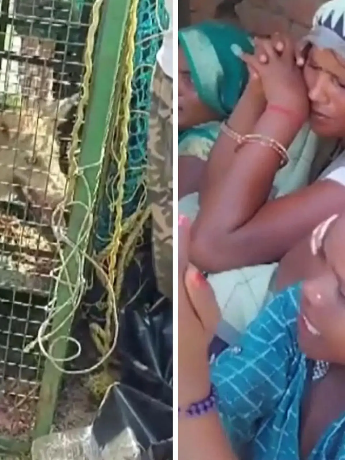 Wölfe terrorisieren die Menschen in Nordindien.