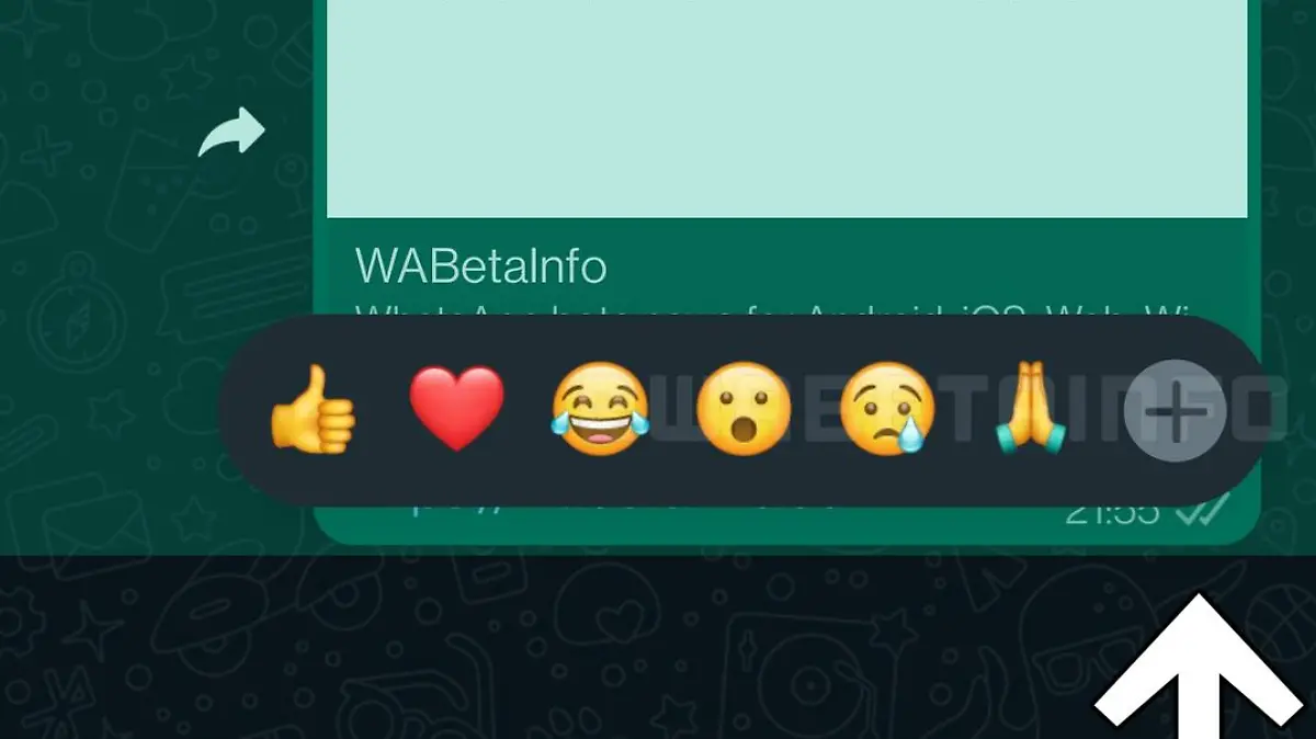 WhatsApp-Funktionen