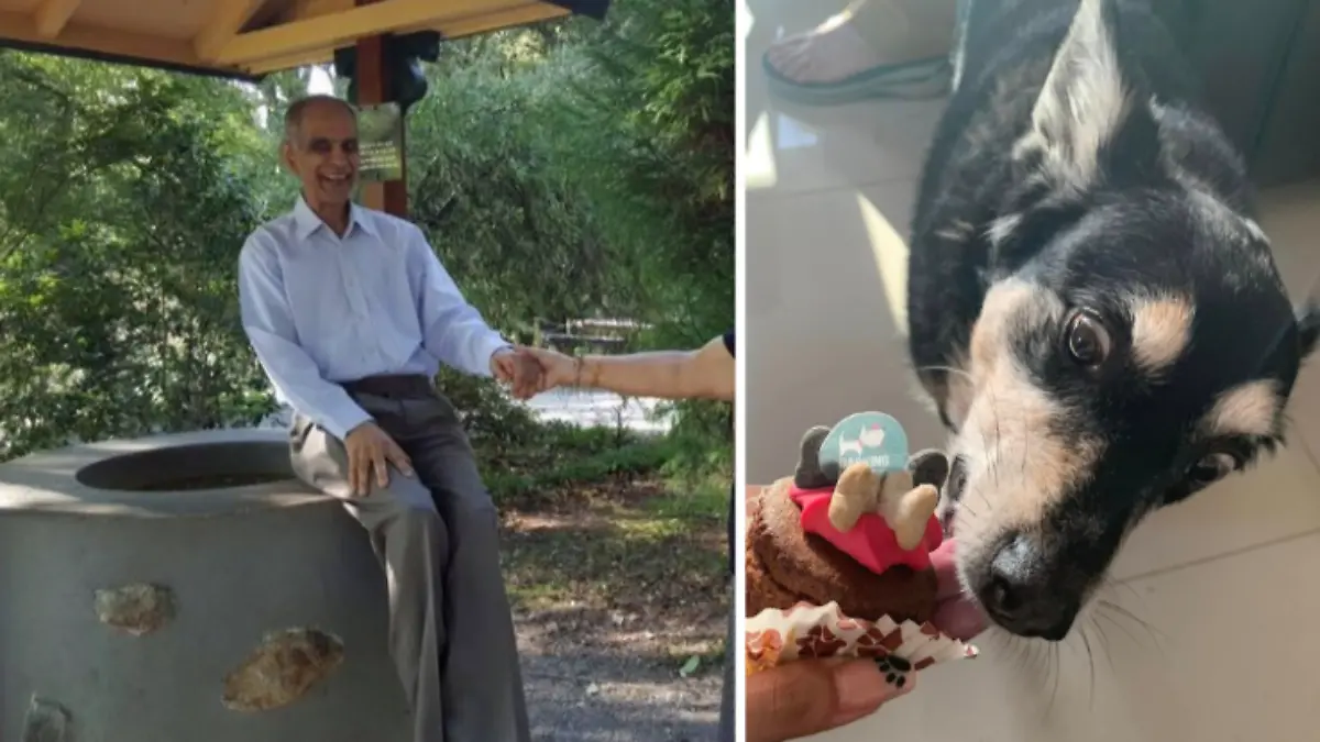 Bhim Kohli (80) wird beim Spaziergang mit seinem Hund im Franklin Park in Leicester von fünf Kindern attackiert und stirbt.
