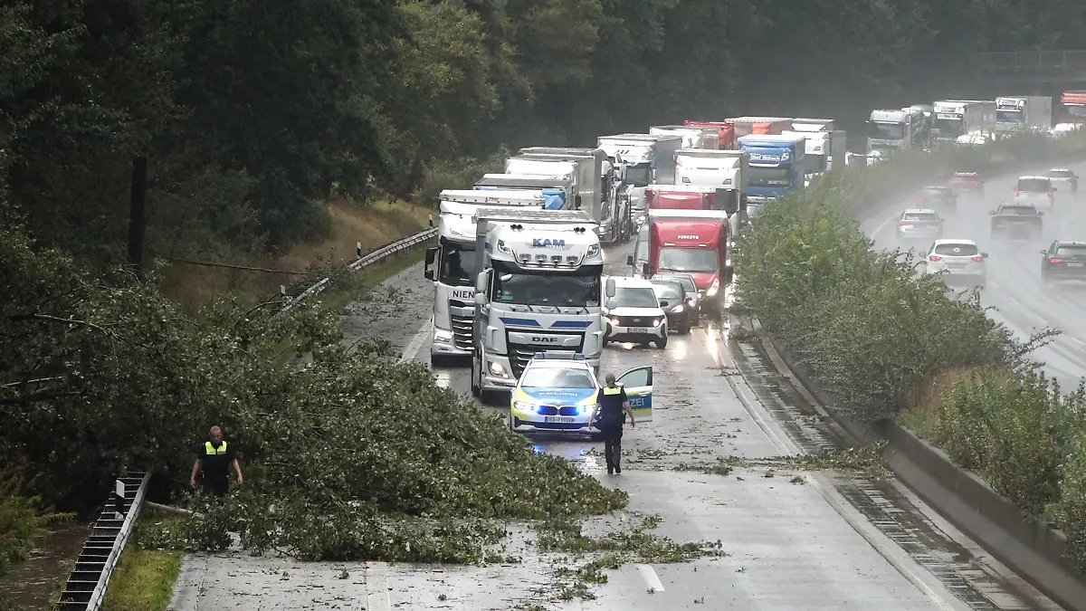Der Verkehr staut sich hinter einem umgestürzten Baum, der die Fahrbahn der Autobahn 27 blockiert.