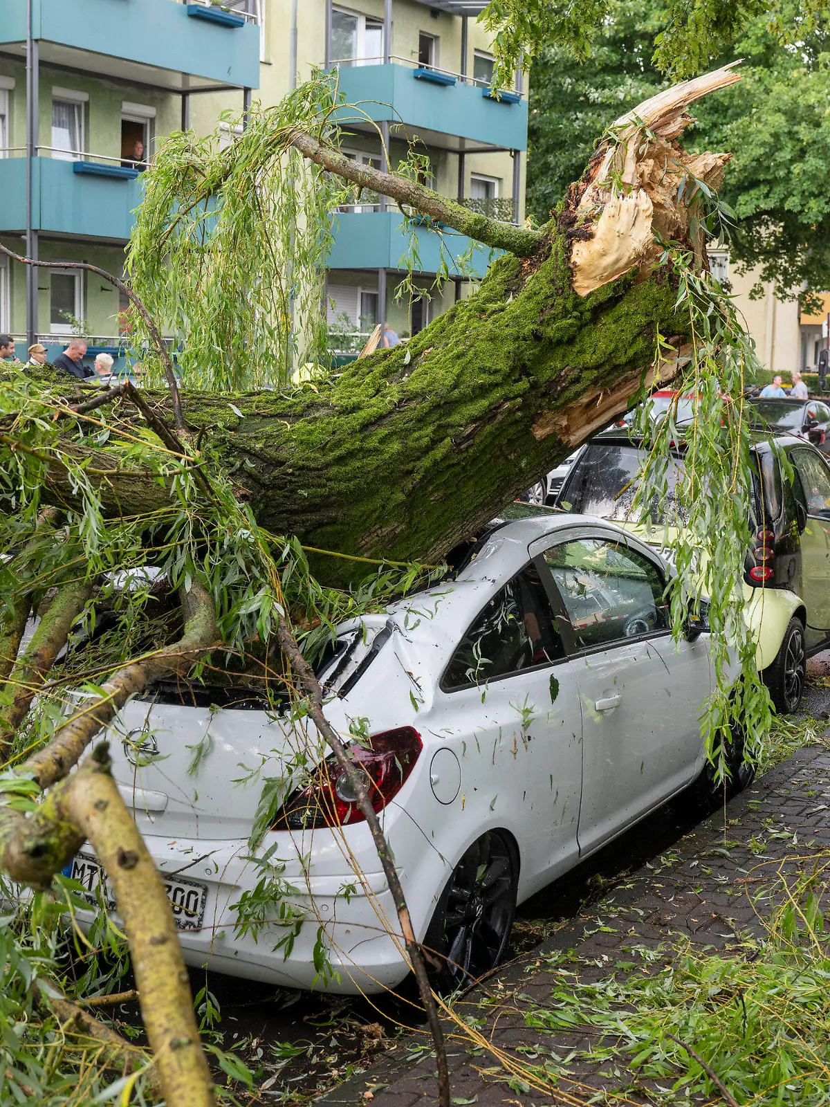 ARCHIV - 22.06.2023, Hessen, Frankfurt/Main: Nach einem schweren Unwetter räumen Feuerwehrleute Äste eines umgestürzten Baumes von geparkten Autos. (Zu dpa «Eine Woche nach dem Unwetter wird in Hessen weiter aufgeräumt») Foto: Boris Roessler/dpa +++ dpa-Bildfunk +++