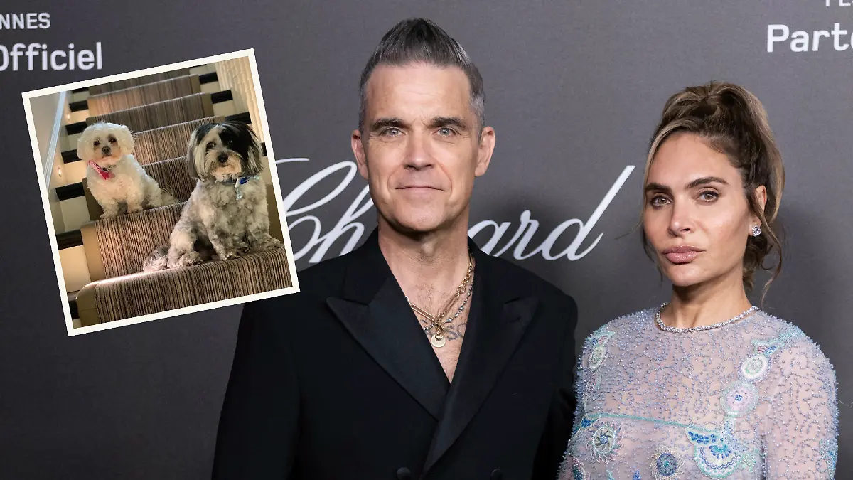 Robbie und Ayda Williams trauern um verstorbene Hunde. 