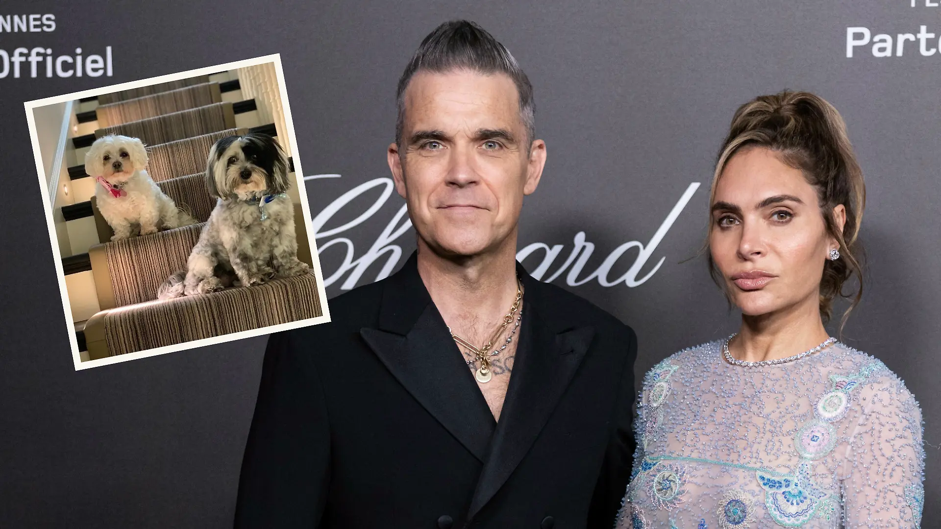 Robbie und Ayda Williams trauern um verstorbene Hunde.