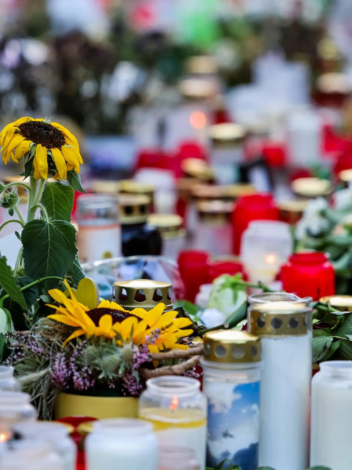 Bild zu: "Ermittler zeigen Solingen-Attentäter jetzt offen "