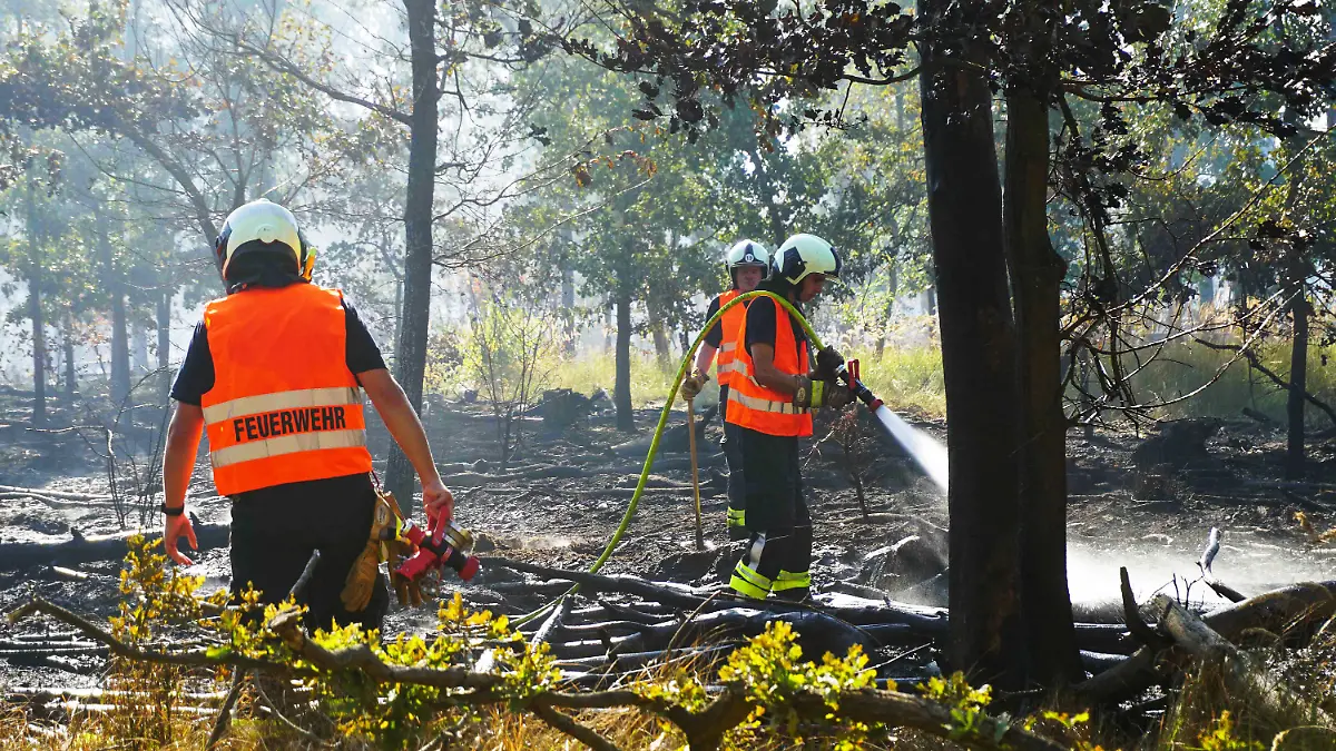 Feuerwehrleute bekämpfen in Oranienbaum-Wörlitz im Landkreis Wittenberg einen Waldbrand, der am Vortag ausgebrochen war.