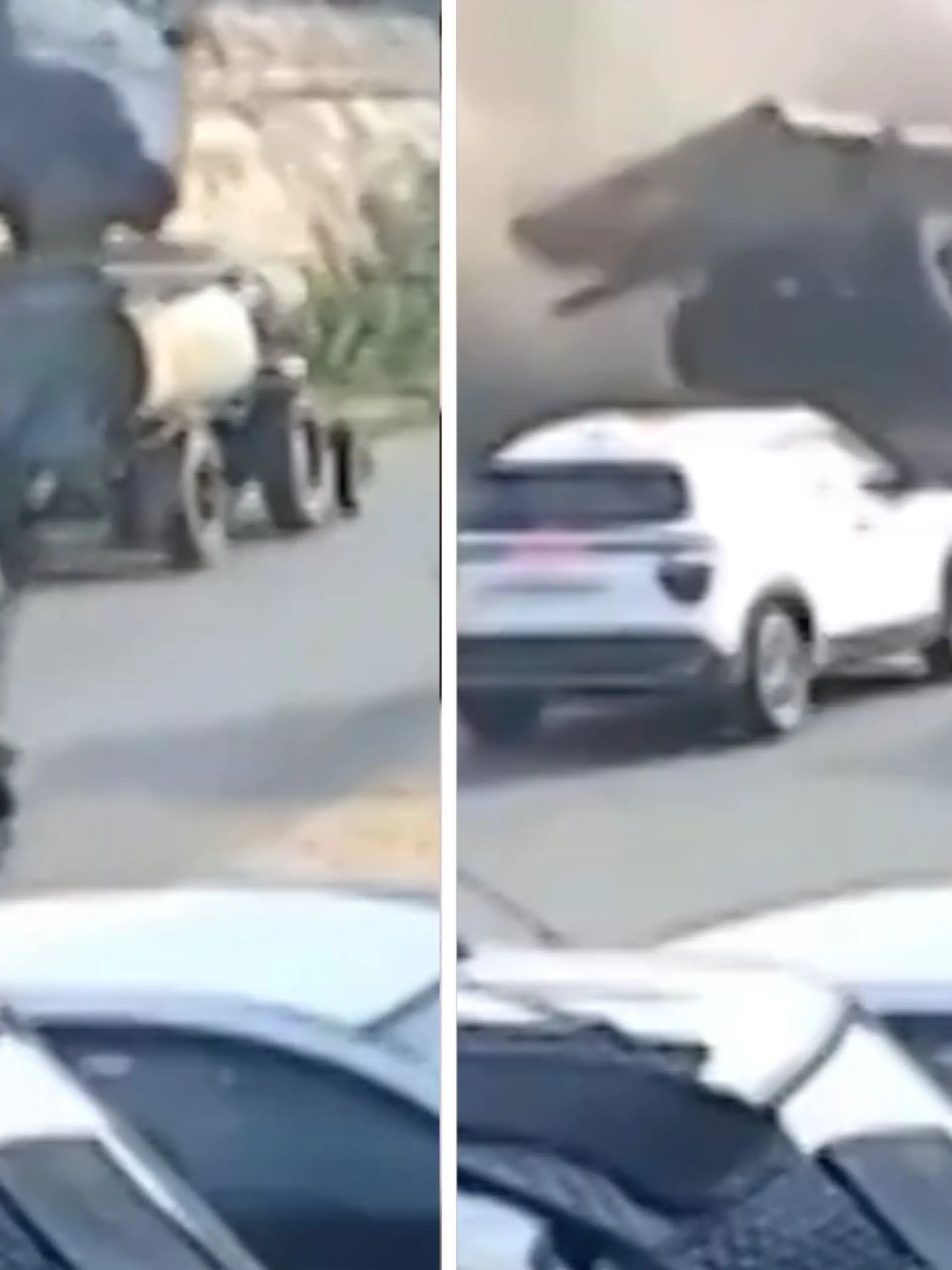 Bild zu: "Horror-Crash in Indien! Lkw stürzt auf Traktor und zermalmt ihn"