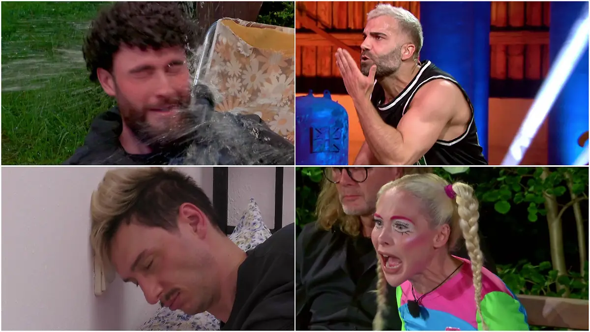 Die Sommerhaus-Stars sind völlig außer Rand und Band „Willkommen im Irrenhaus!”
