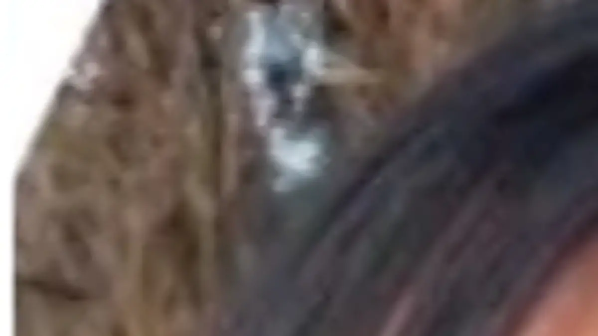 Das Bild zeigt ein Profilbild von Melissa Jubane