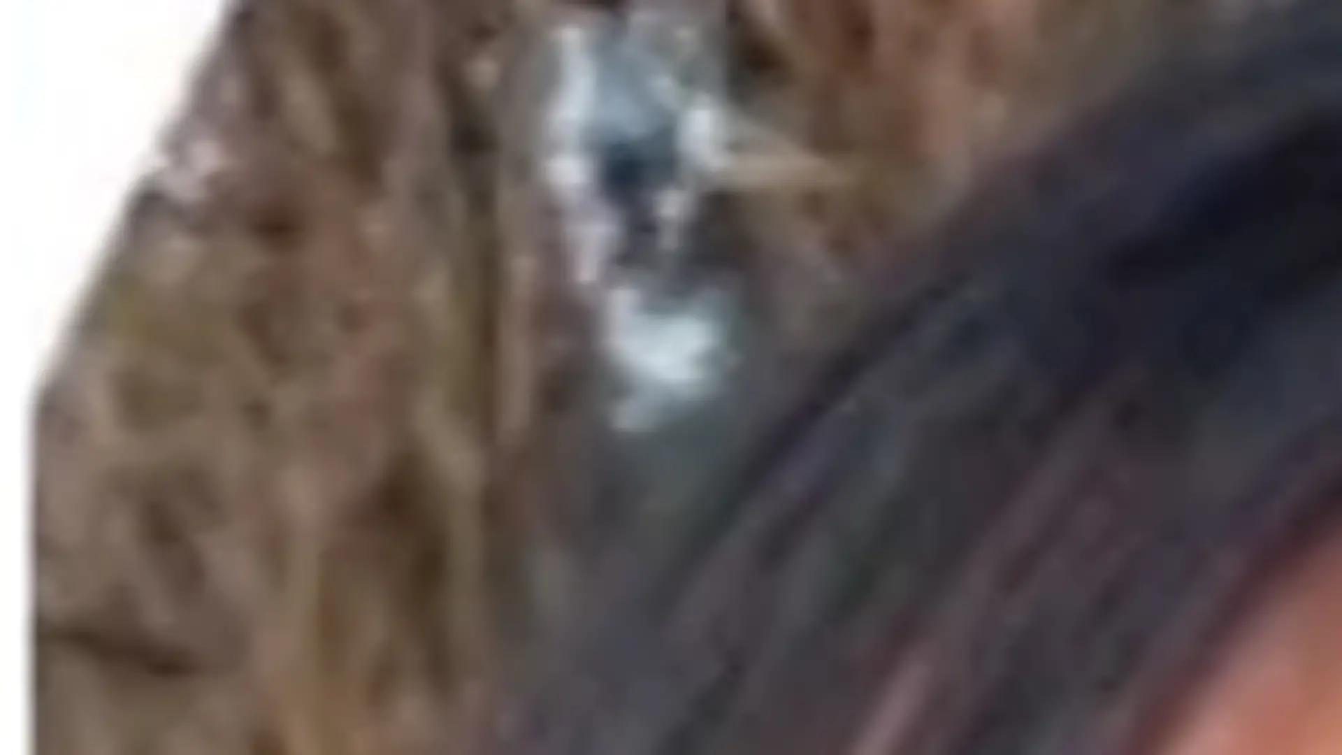 Das Bild zeigt ein Profilbild von Melissa Jubane