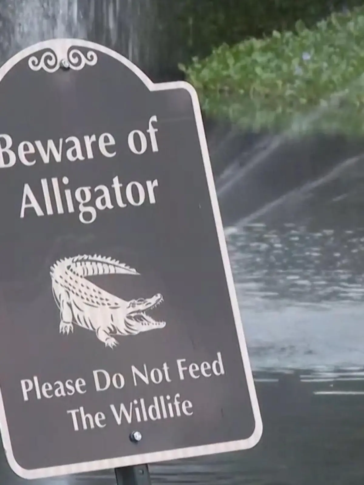 Ein Schild warnt vor Alligator-Angriffen