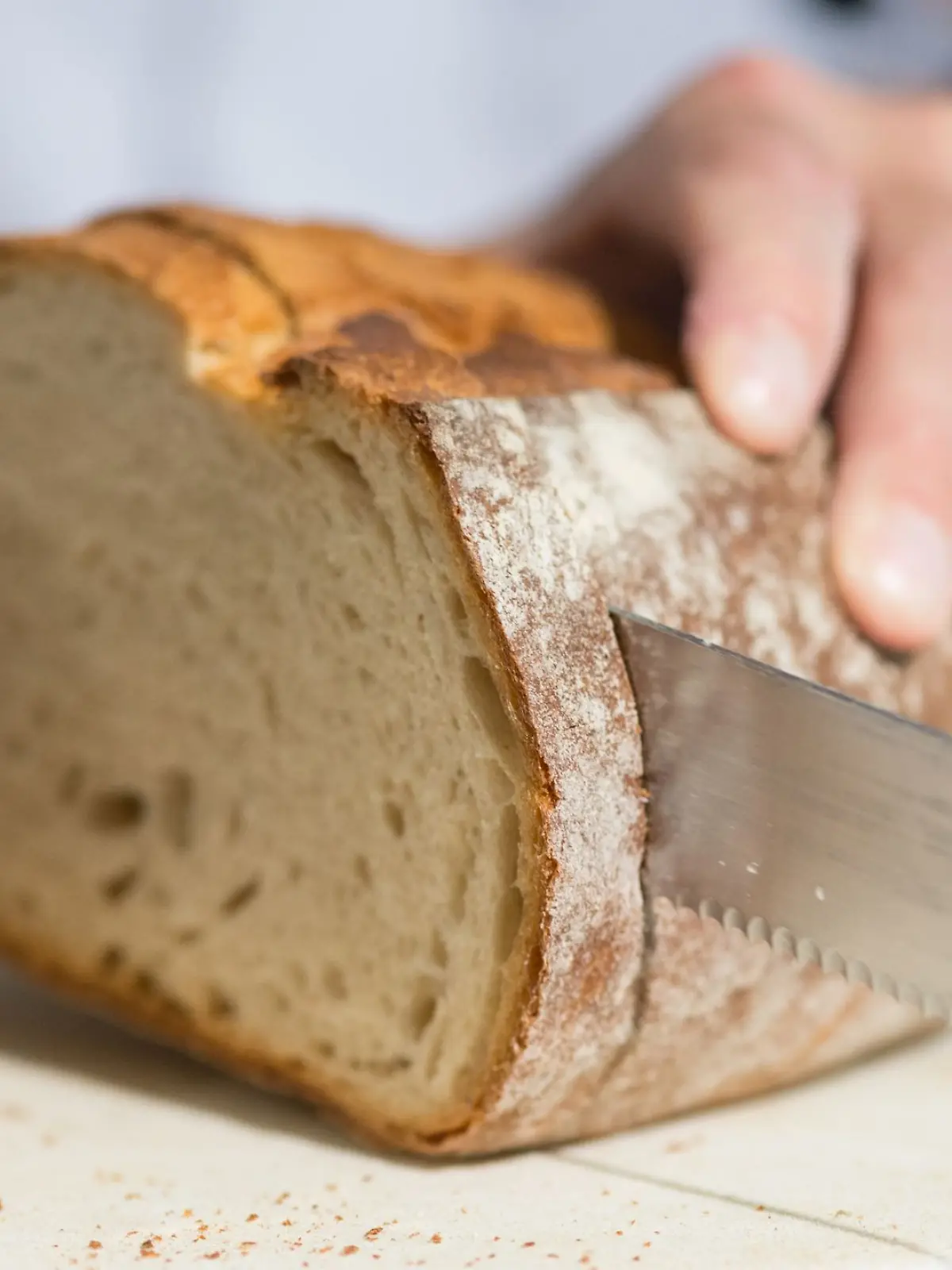 Bild zu: "Fünf Fakten über Brot, die ihr kennen solltet "