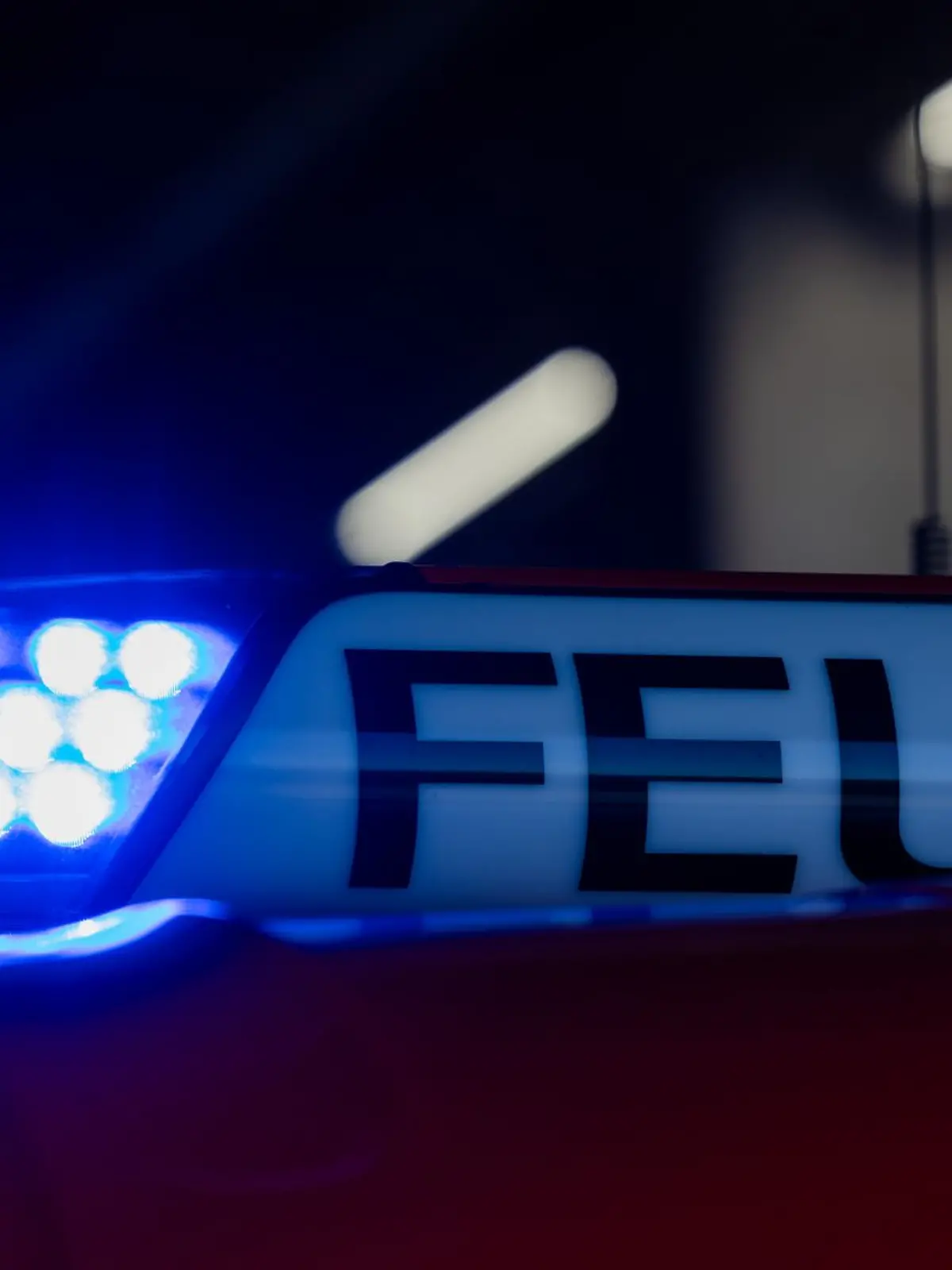 Bild zu: " Frau will aus Panik von Balkon springen"