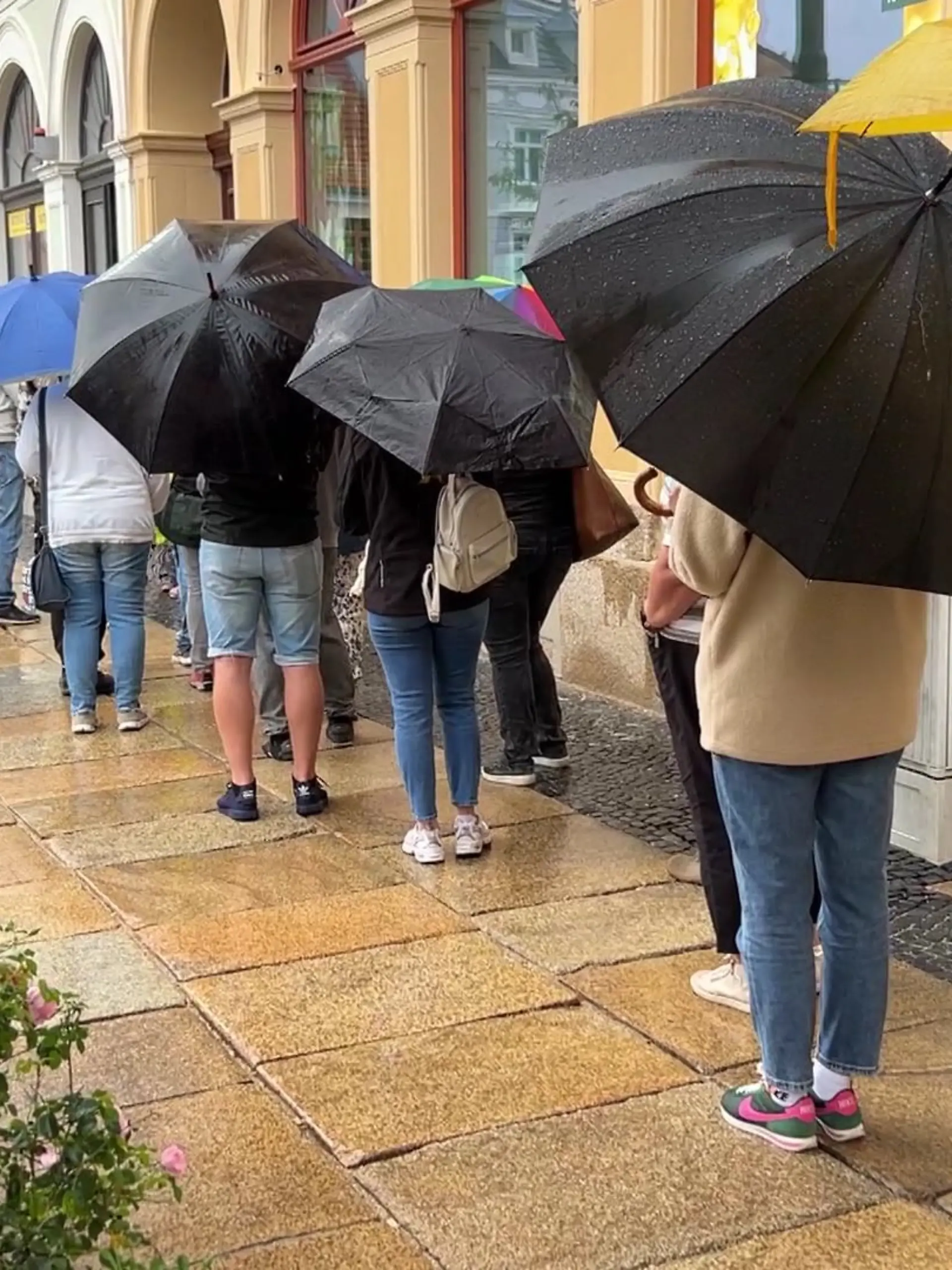Eine endlos lange Schlange vor einer neu eröffneten Hausarztpraxis in Görlitz.