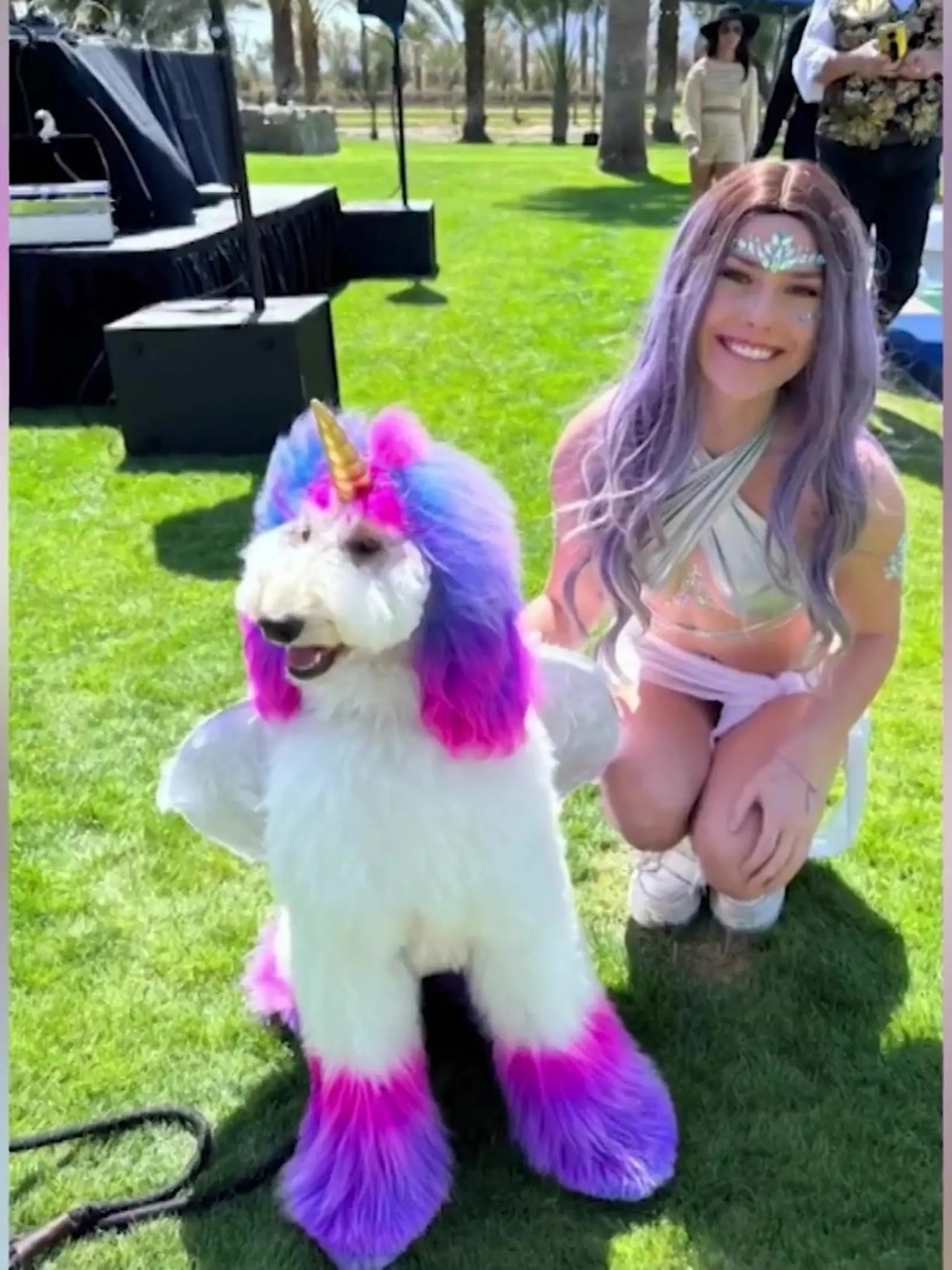 Bunt, bunter, Einhorn-Pudel?! Hundedame Zoe ist ein Jahr alt und seit ihrer Geburt ein echtes Model. Frauchen Angela aus Großbritannien liebt es, ihre Hündin bunt einzufärben und sie ab und an zu einem Einhorn zu verwandeln. Im Internet erntet Angela dafür Kritik – Tierquälerei lautet da der Vorwurf.