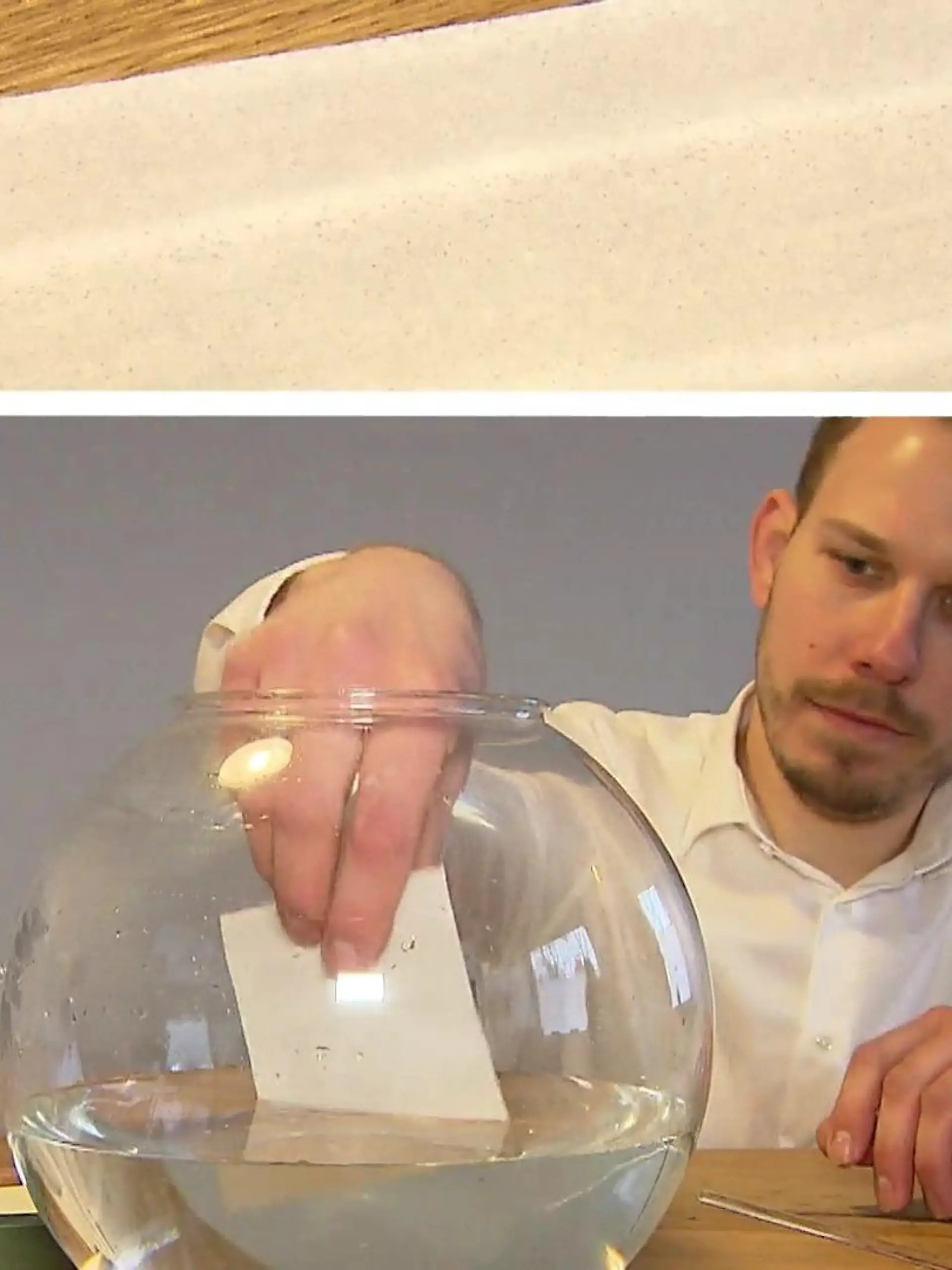 Bild zu: "Trend für die Waschmaschine"