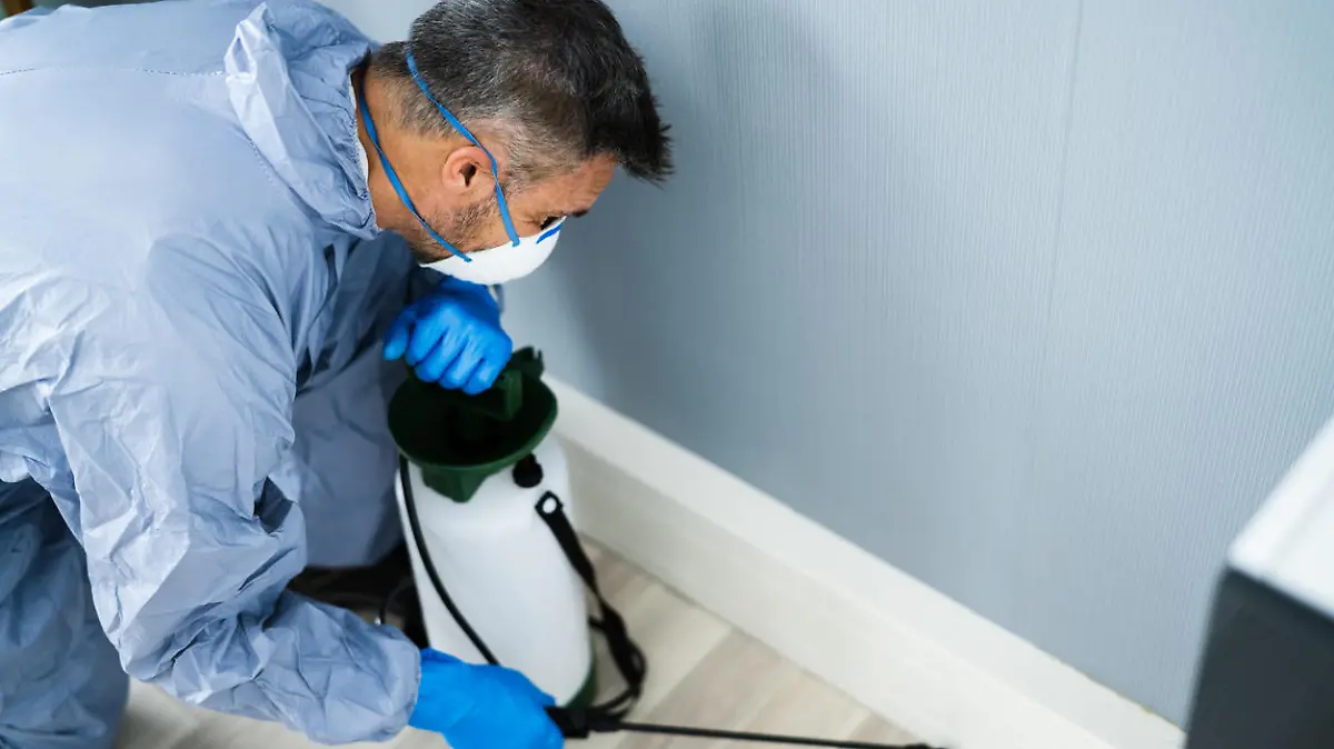 Pest Control Exterminator Man Spraying Termite Pesticide In Office