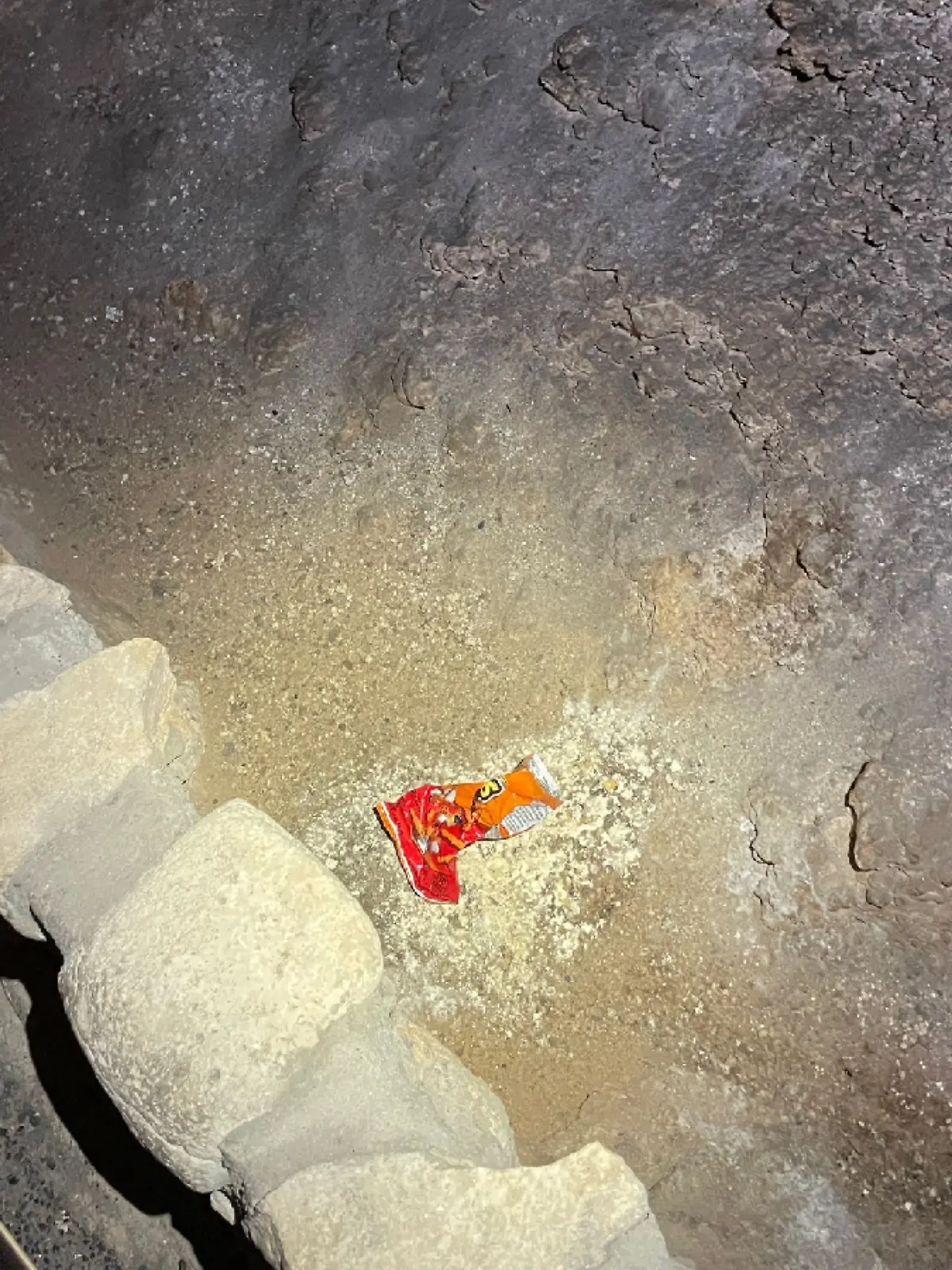 Bild zu: "Hungriger Besucher gefährdet Zukunft von einzigartiger Höhle "