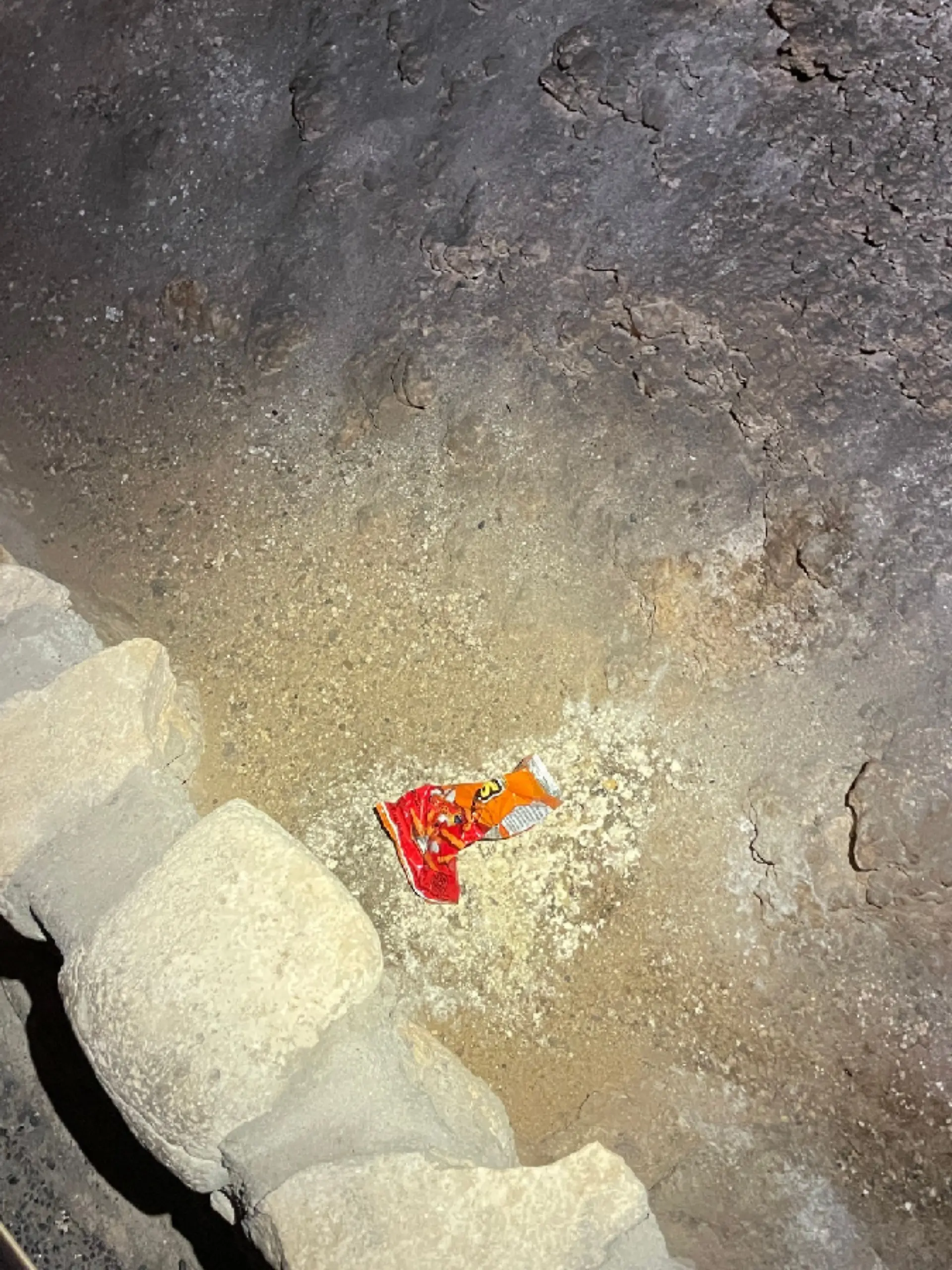Bild zu: "Hungriger Besucher gefährdet Zukunft von einzigartiger Höhle "