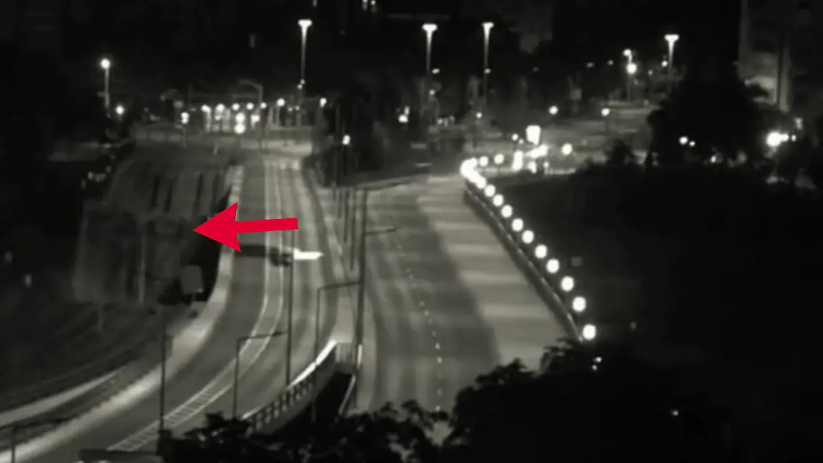 Video zeigt Einsturz der Carolabrücke Dresden entgeht nur knapp einer Katastrophe