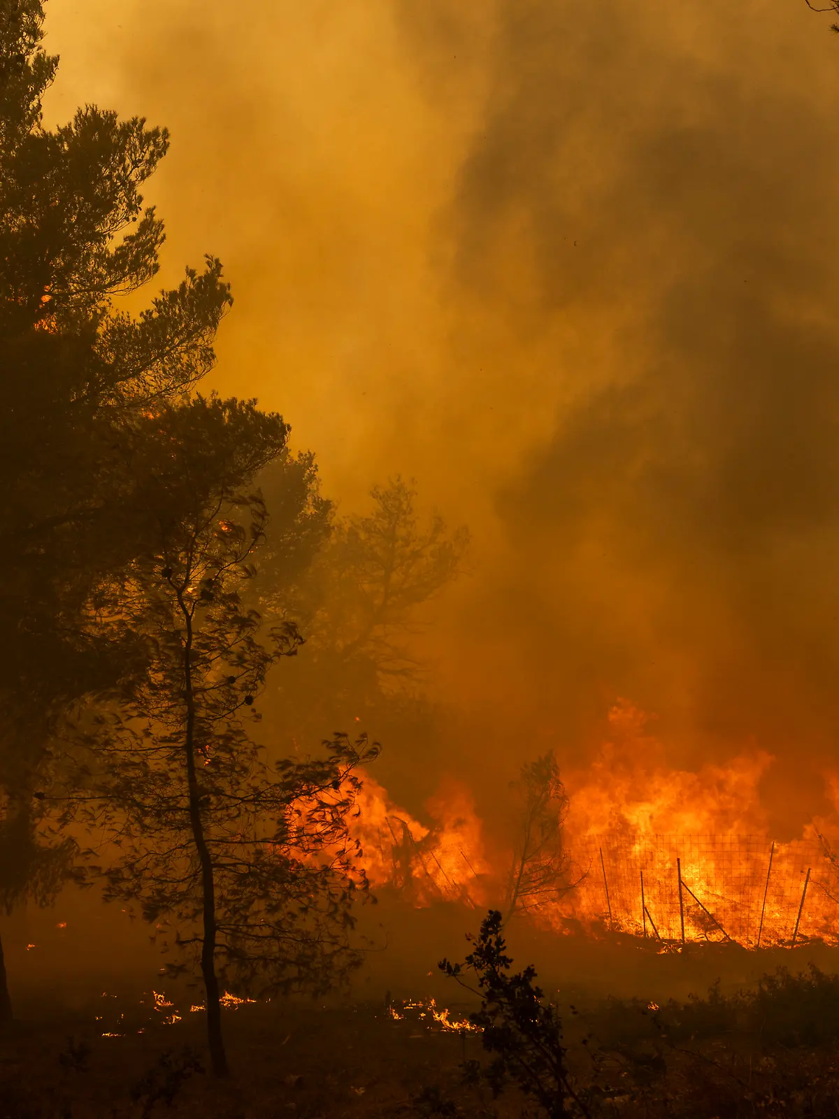 Großbrand nahe Athen