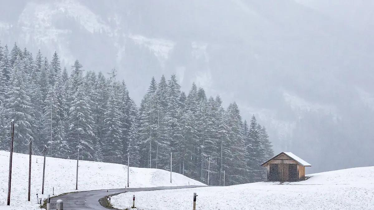 Schnee-Prognose