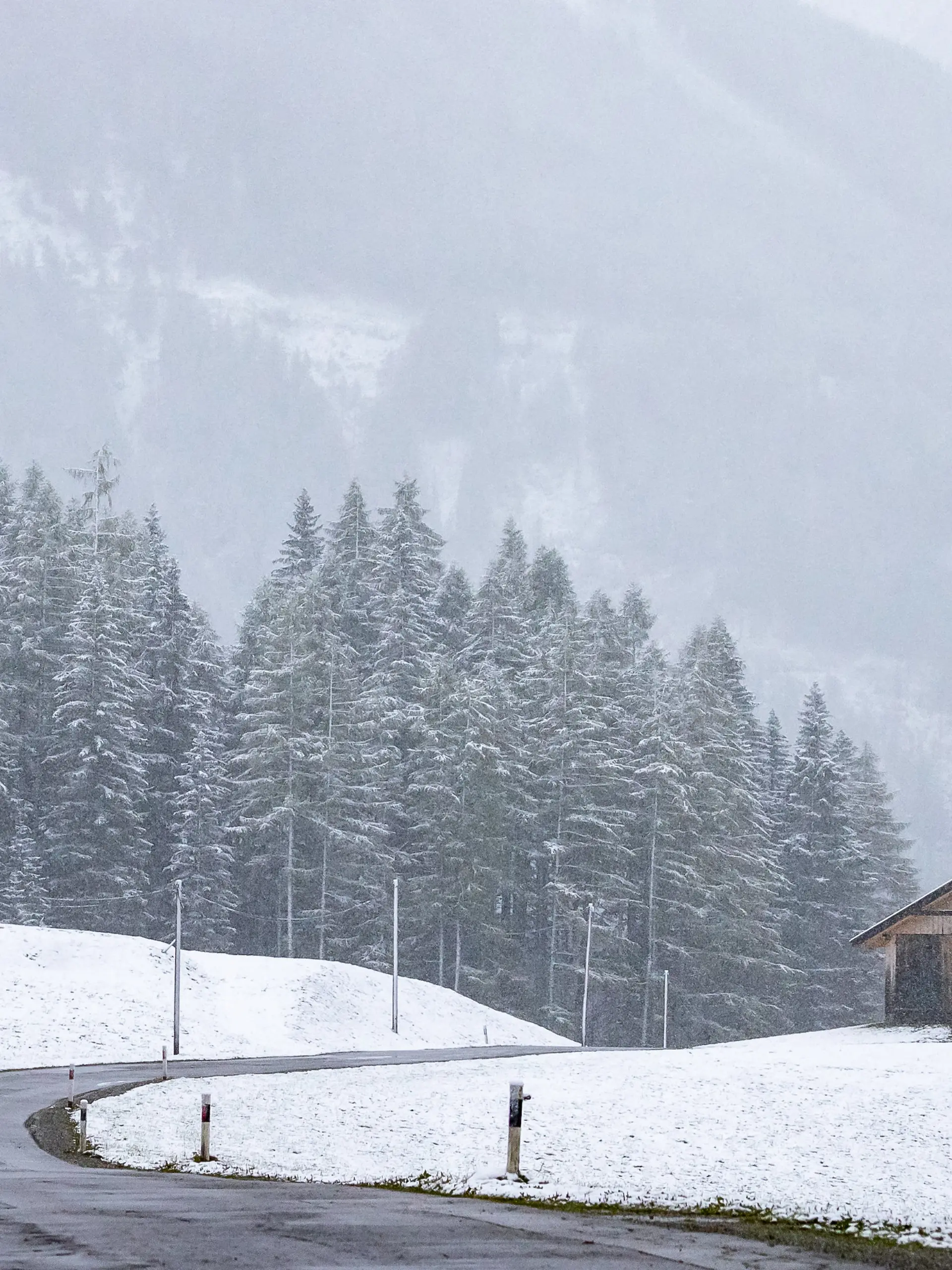 Schnee-Prognose