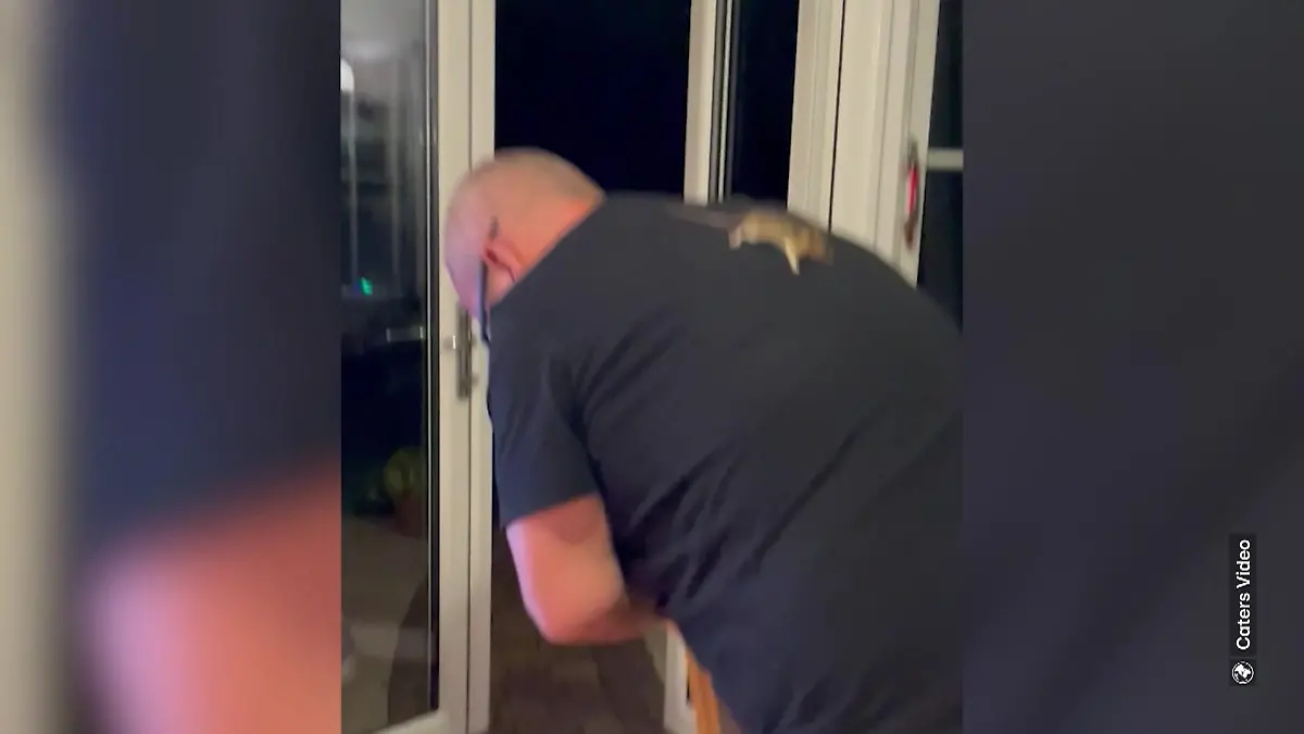 Mann-und-Maus-Spiel! Nagetier überlistet Familienvater. Hey Jerry, das ist nicht Tom!