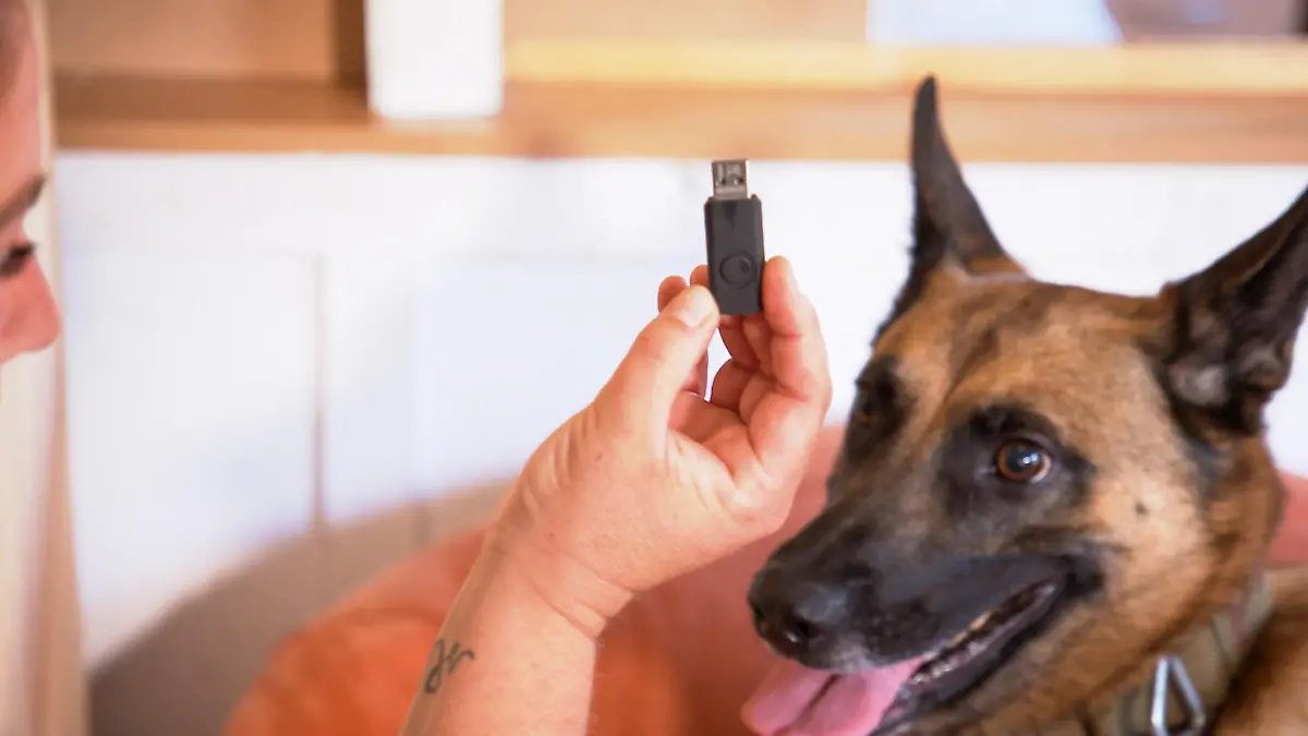 Ausbildung Datenspeicherspürhunde