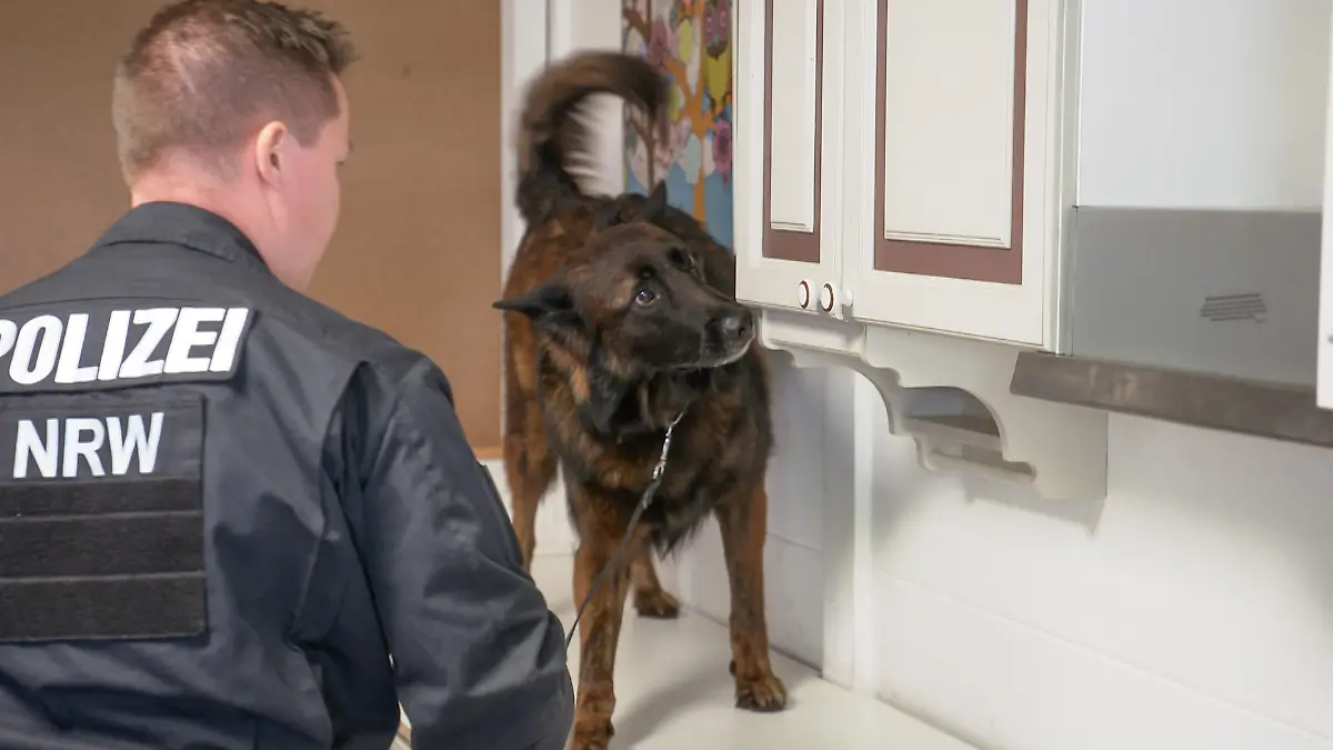 Training Datenspeicherspürhunde