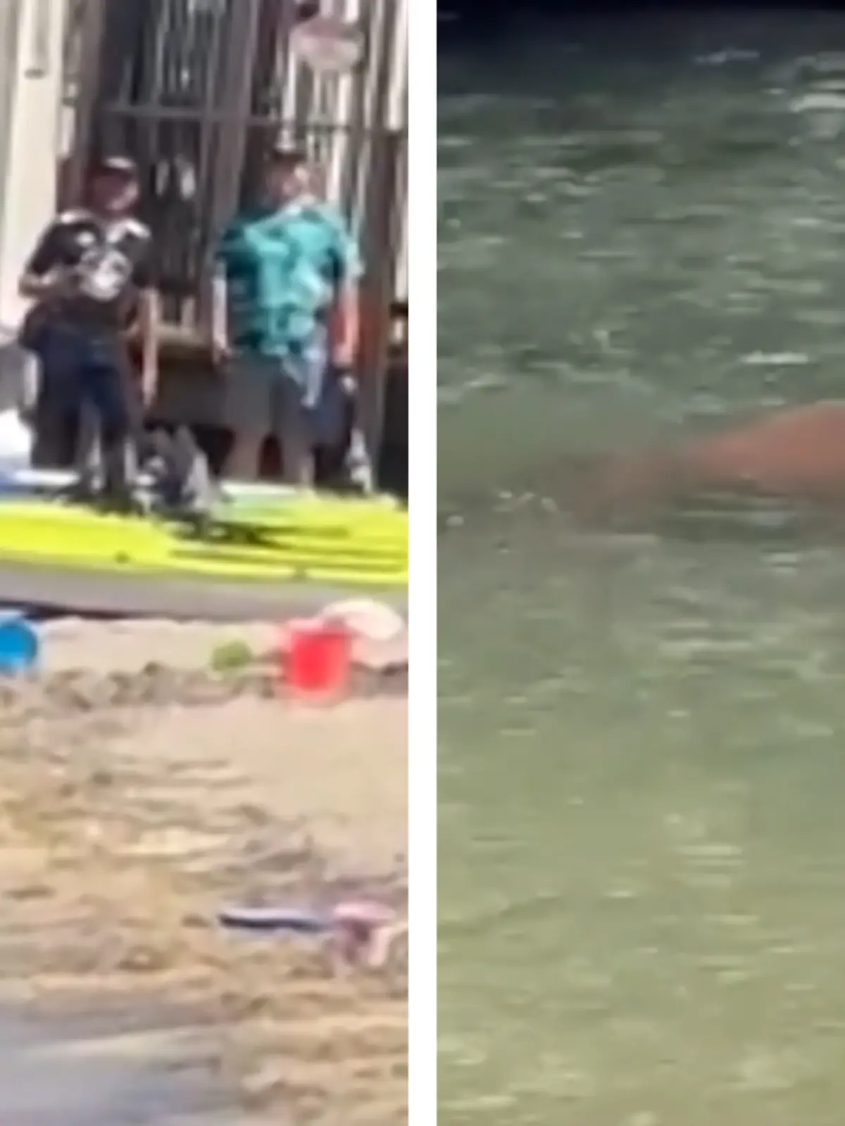 Bild zu: "Bade-Bär macht Strand-Spaziergang "