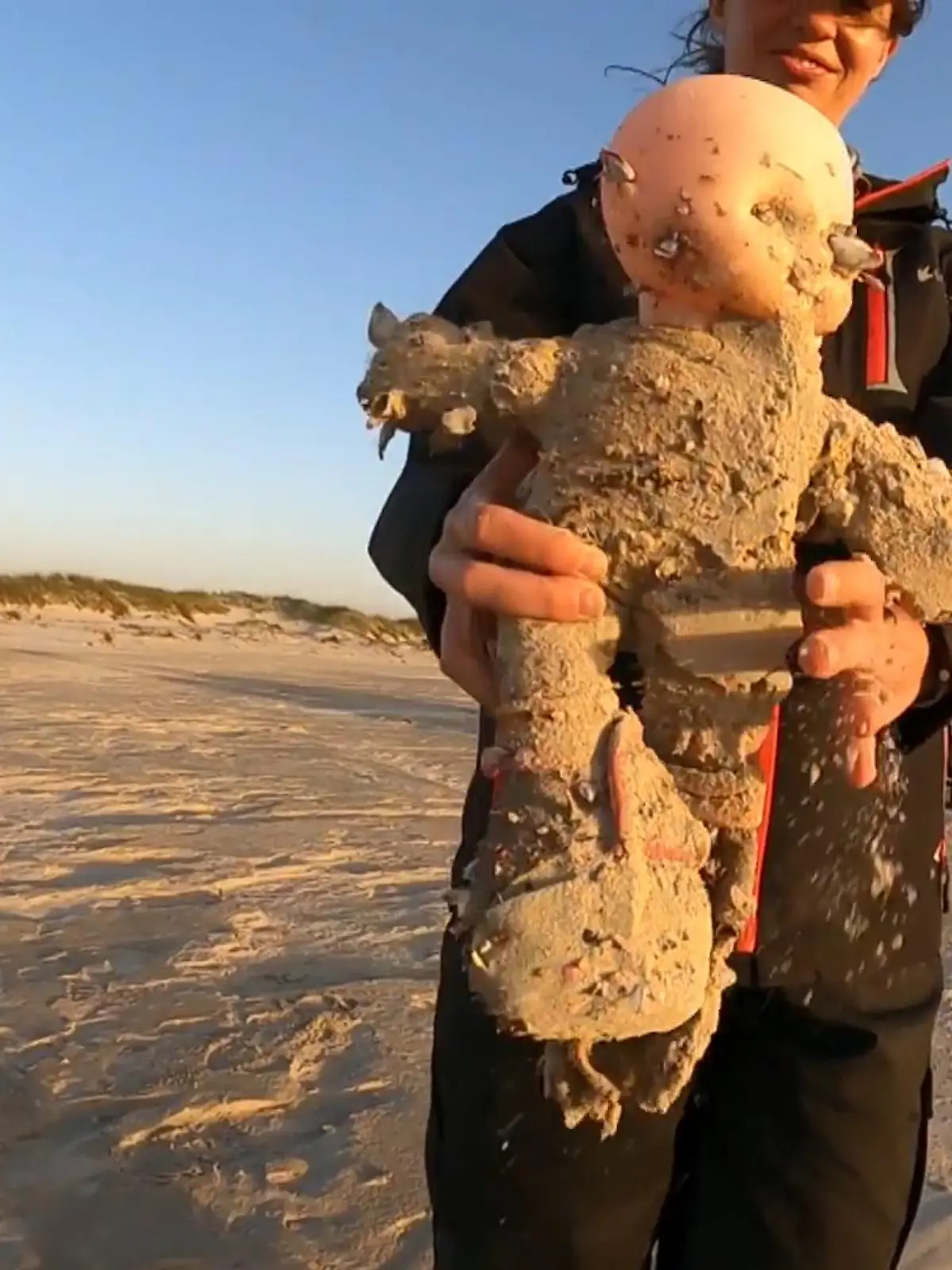 Meeresbiologe Jace Tunnell untersucht seit rund zwei Jahren die Küste von Texas zwischen Padre Island und Matagorda Island. Hier trifft der Golf von Mexiko auf die amerikanische Küste und spült dabei so allerlei an. Aus aktuell noch unbekannten Gründen ist diese Region nämlich besonders anfällig für Treibgut aller Art – unter anderem diese gruseligen Horrorpuppen!