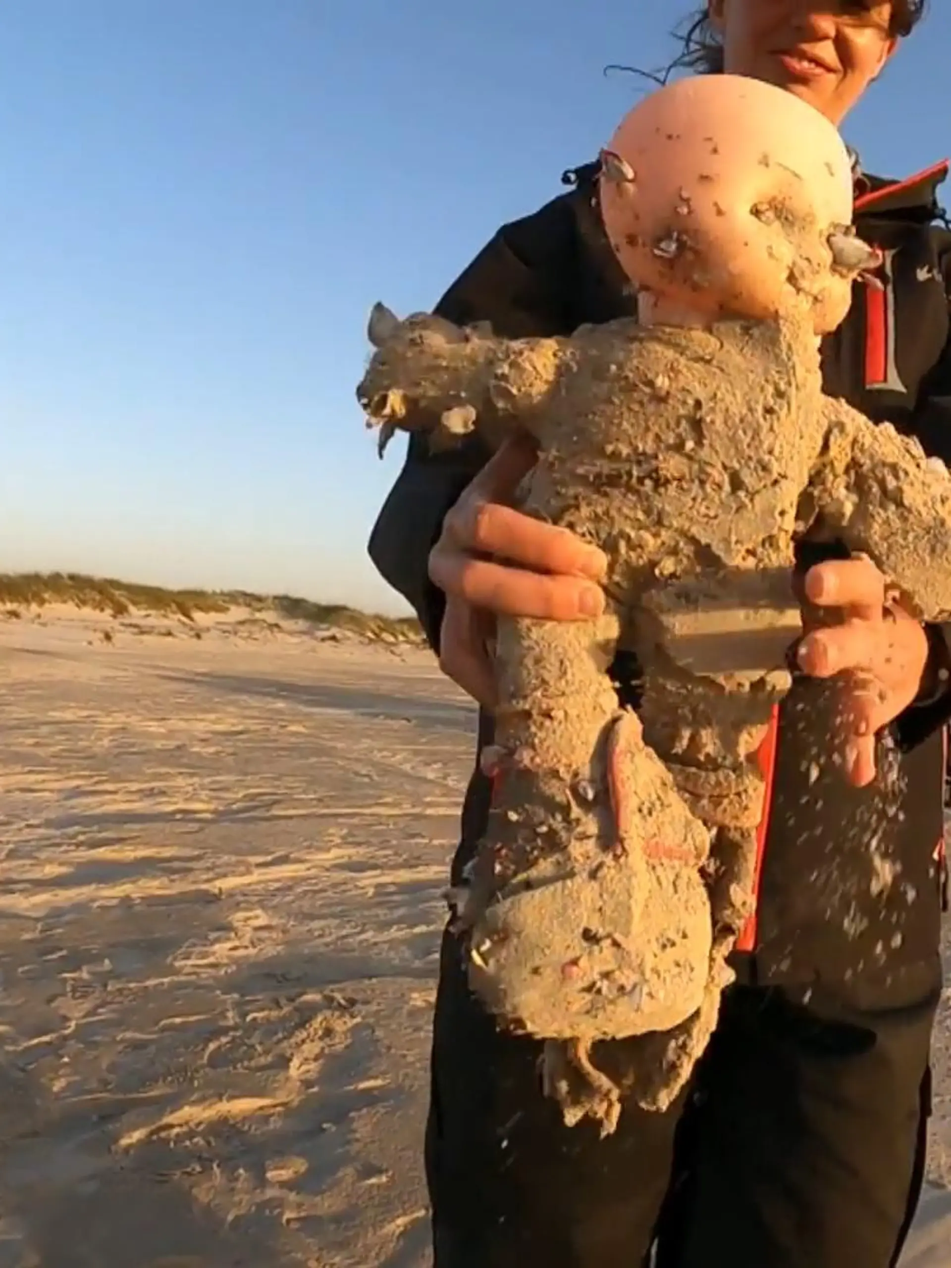 Meeresbiologe Jace Tunnell untersucht seit rund zwei Jahren die Küste von Texas zwischen Padre Island und Matagorda Island. Hier trifft der Golf von Mexiko auf die amerikanische Küste und spült dabei so allerlei an. Aus aktuell noch unbekannten Gründen ist diese Region nämlich besonders anfällig für Treibgut aller Art – unter anderem diese gruseligen Horrorpuppen!