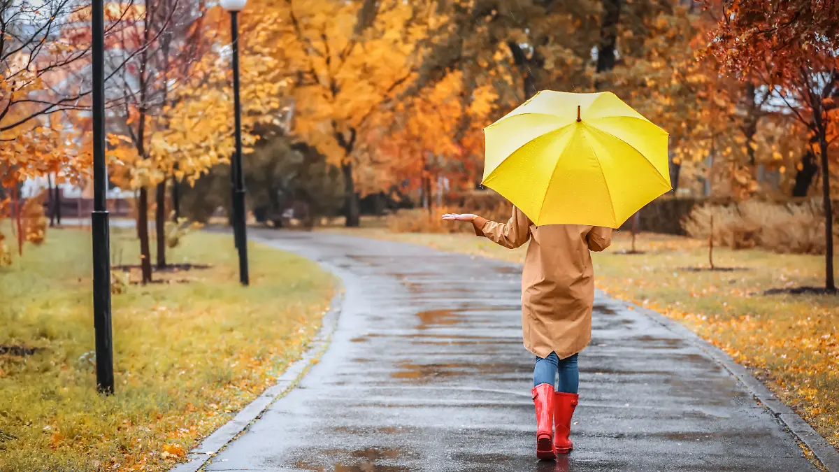 Herbstblues? Von wegen! Warum der Herbst so wohltuend ist