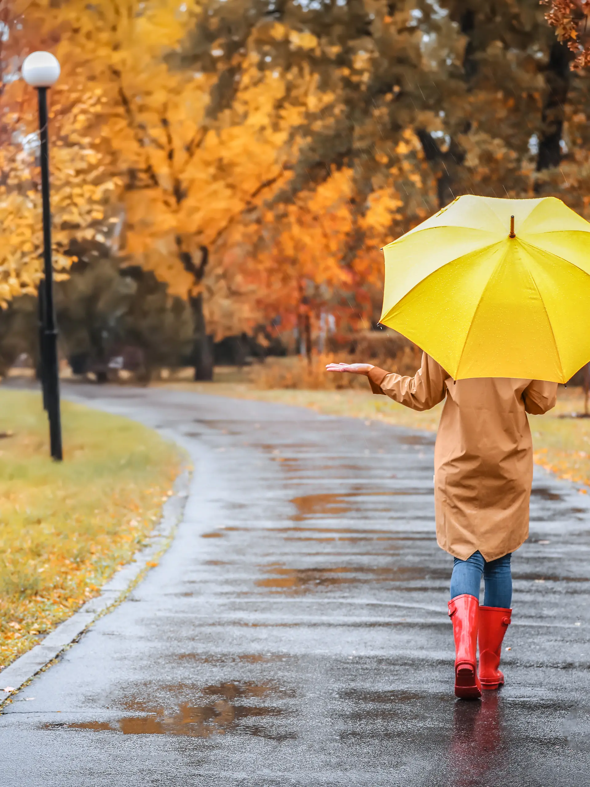 Herbstblues? Von wegen! Warum der Herbst so wohltuend ist