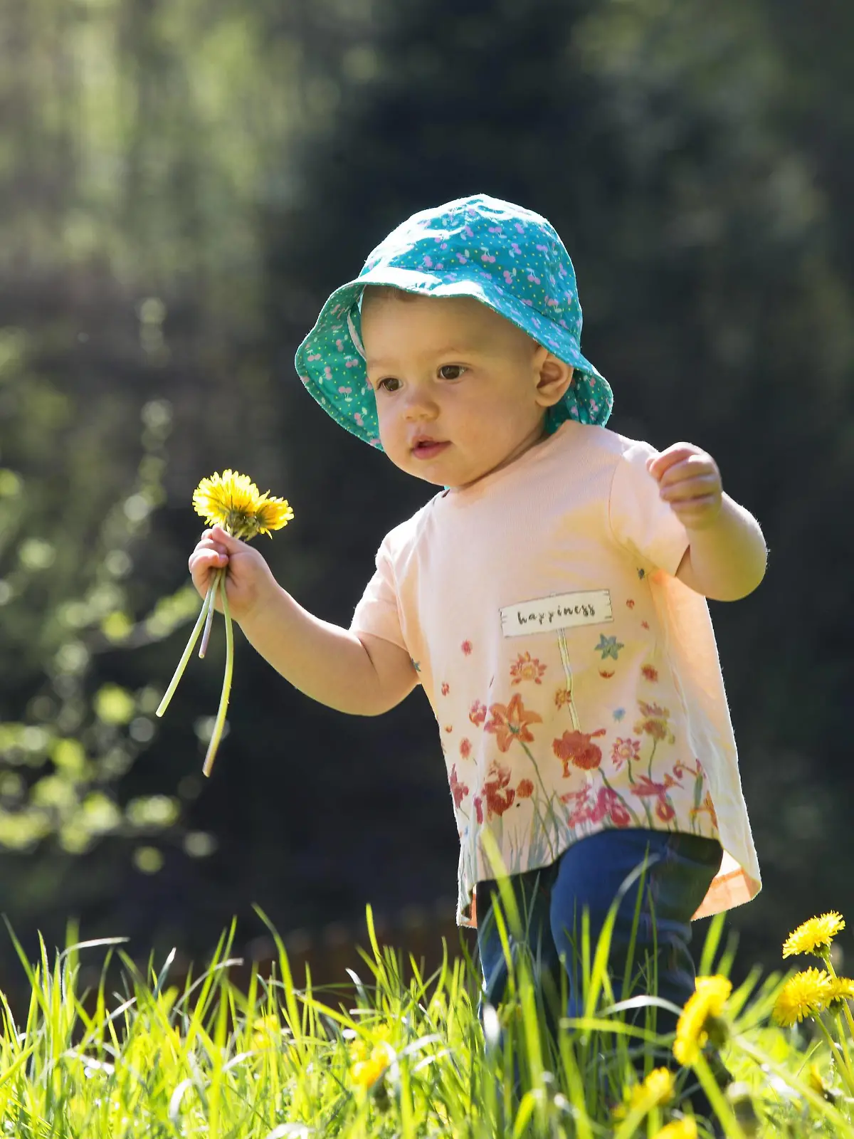 Baby girl on meadow picking dandelions model released Symbolfoto PUBLICATIONxINxGERxSUIxAUTxHUNxONLY WWF003949

Baby Girl ON Meadow Picking dandelions Model released Symbolic image PUBLICATIONxINxGERxSUIxAUTxHUNxONLY WWF003949  