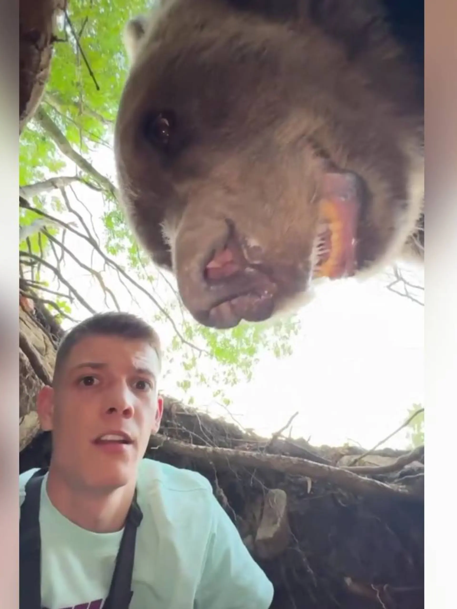 Ein Mann und ein Braunbär halten die Köpfe zusammen.
