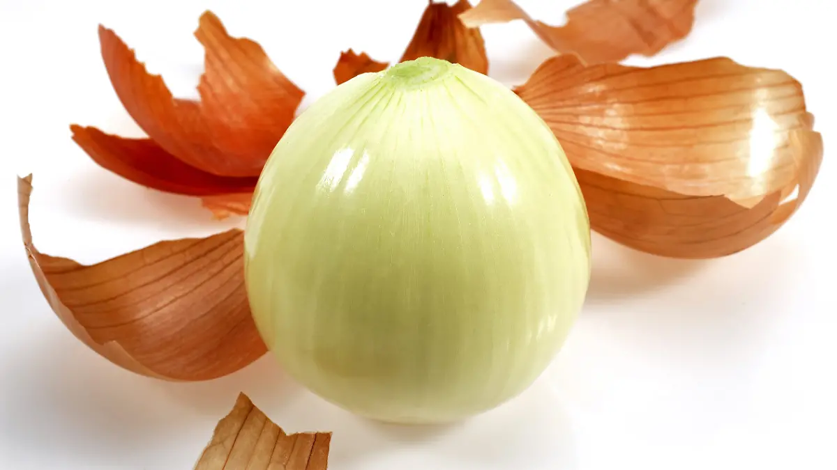 Zwiebel.jpg