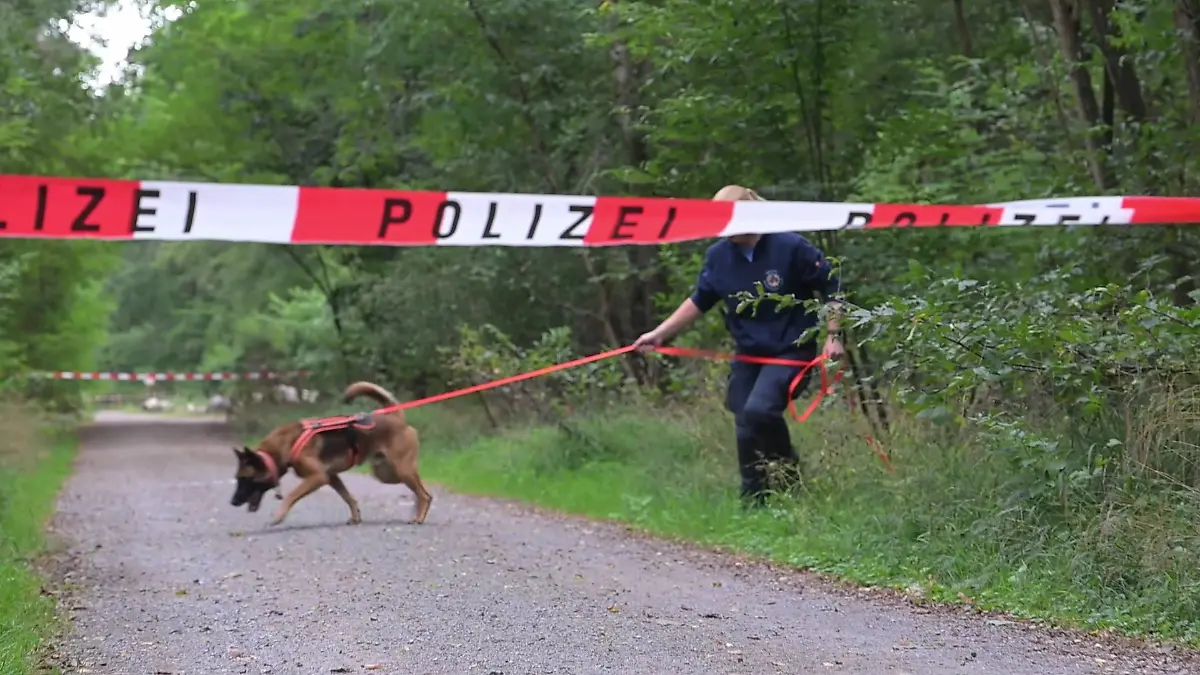 Nachdem am Montagmittag eine Leiche im Lampertheimer Wald gefunden wurde, ermittelt nun die Mordkommission.