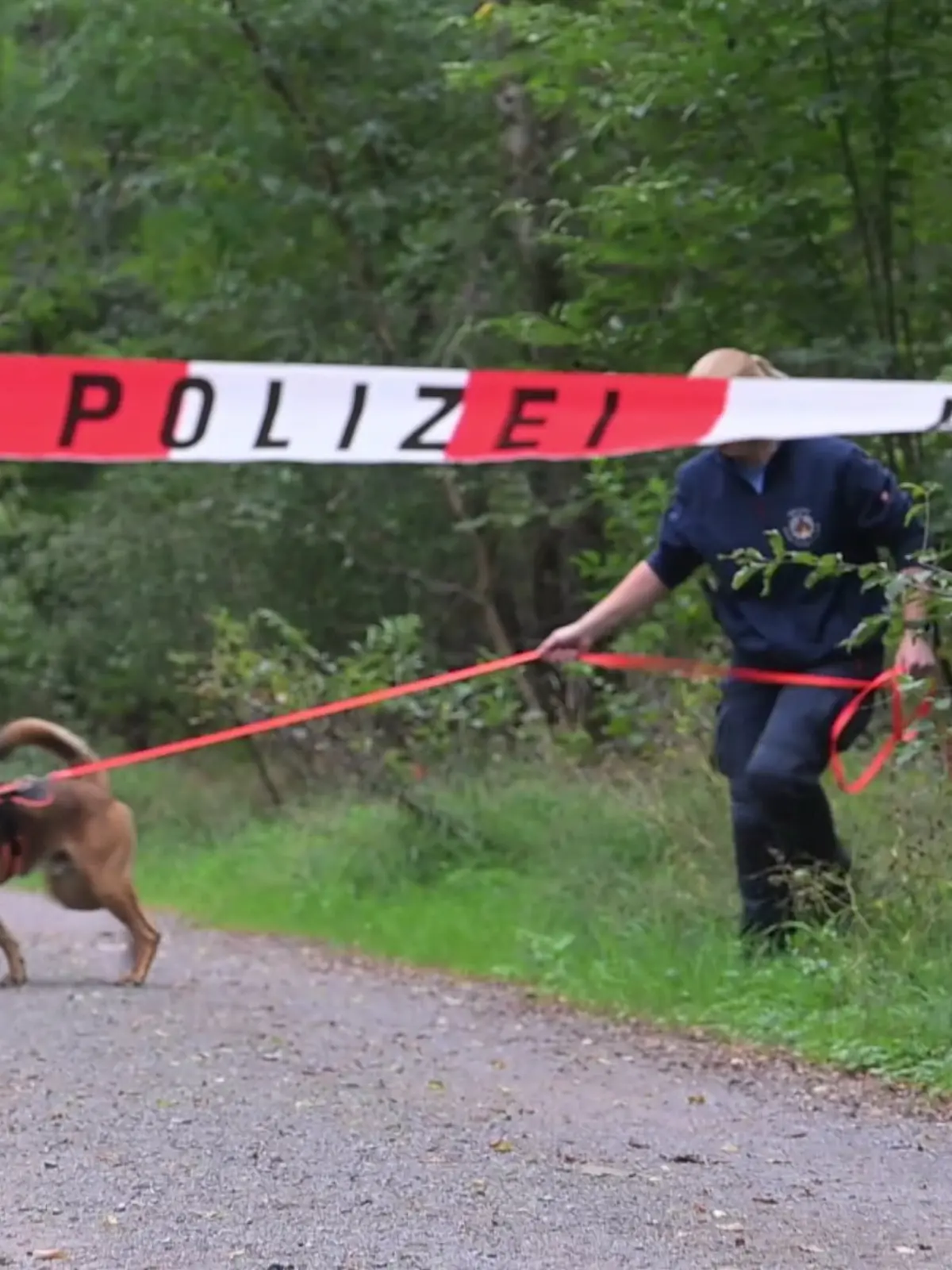 Bild zu: "Wer tötete die Joggerin (36) in Lampertheim (Hessen)?"