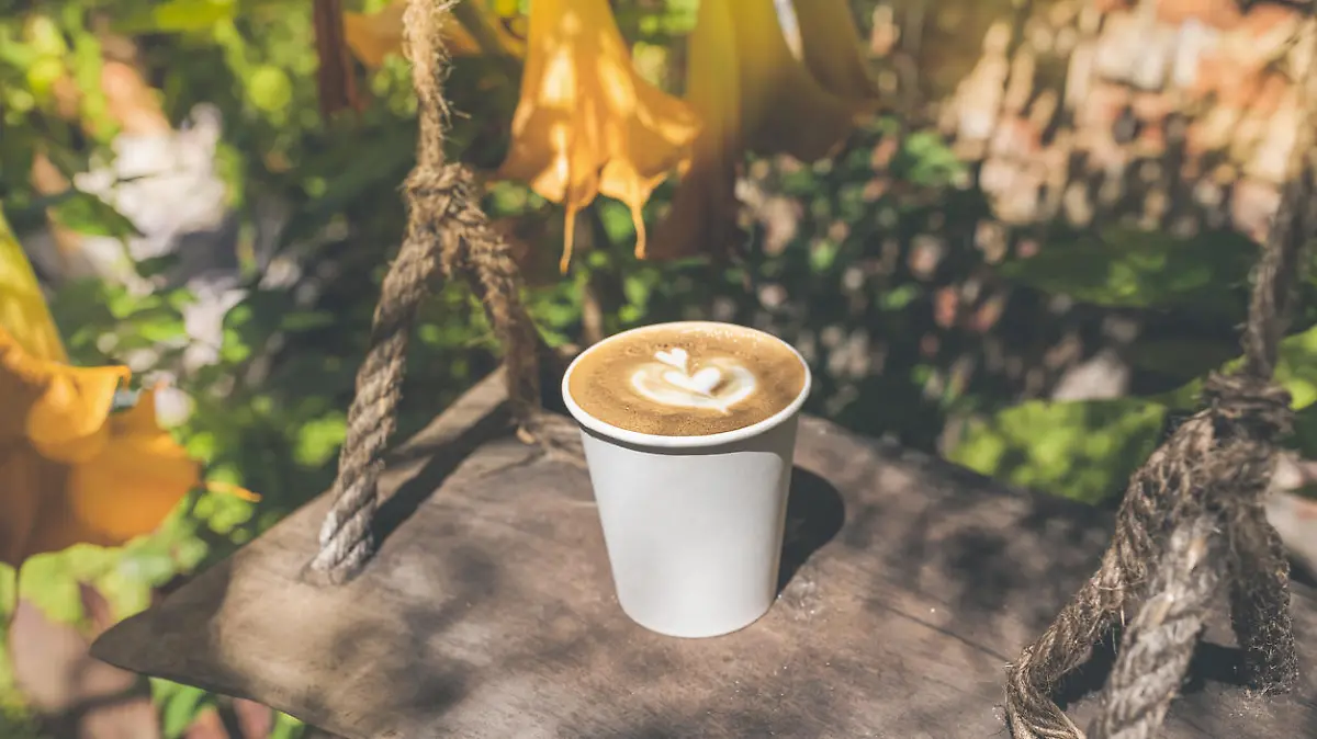 Takeaway coffee in a paper cup on a vintage wooden rope swing in coffee shop with outdoor space with eco-friendly garden. An Indian summer or warm sunny fall.