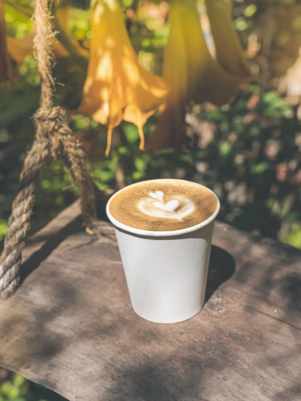 Takeaway coffee in a paper cup on a vintage wooden rope swing in coffee shop with outdoor space with eco-friendly garden. An Indian summer or warm sunny fall.