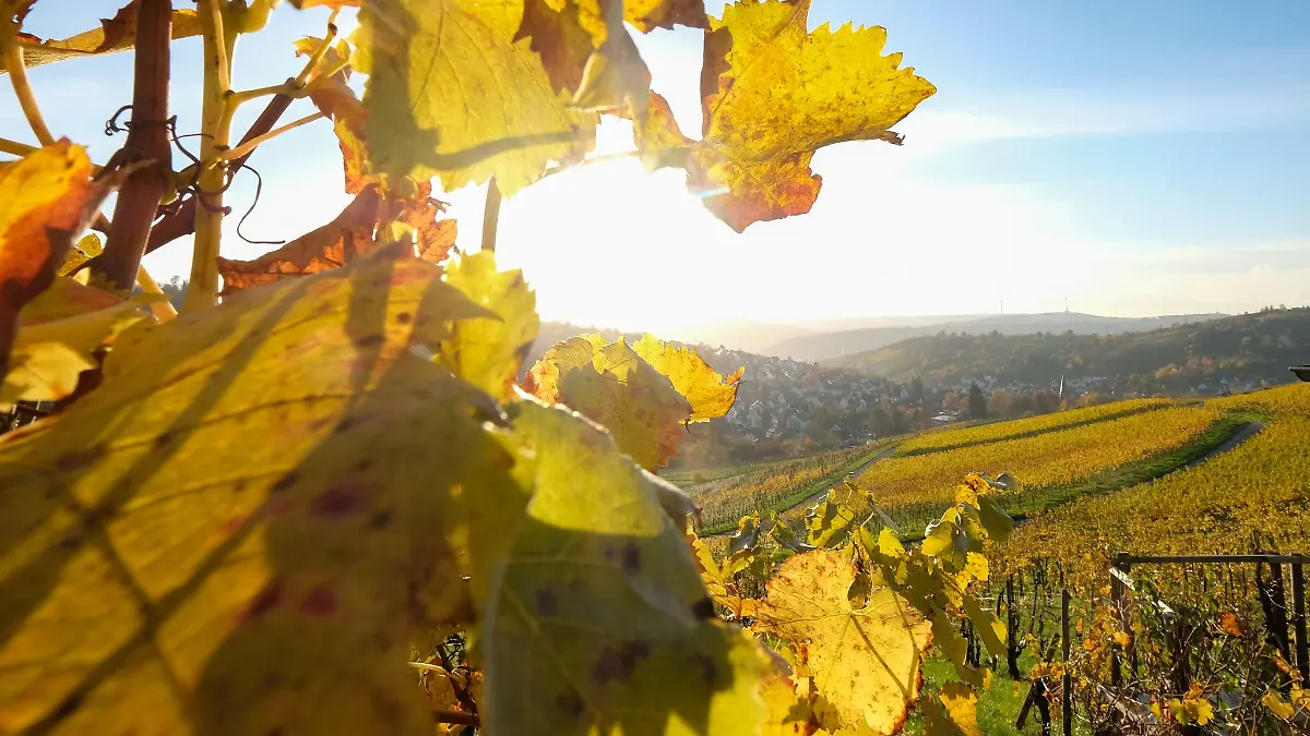 Wetter-Happy-End am Wochenende!