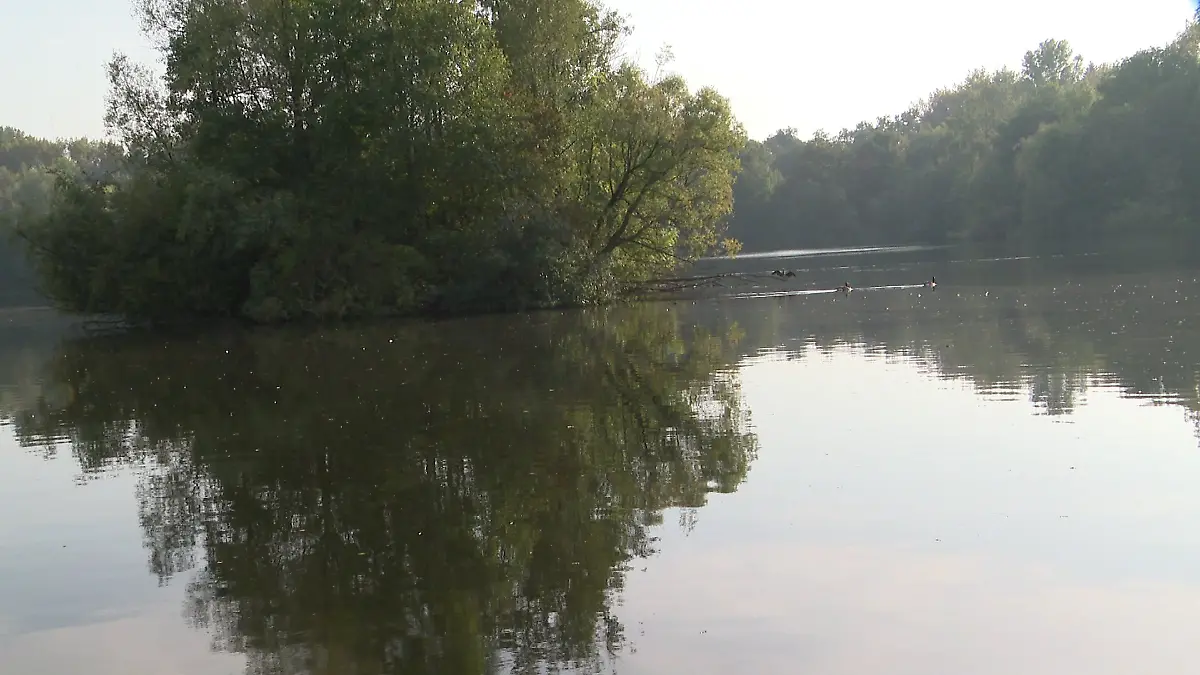 Er rief selbst die Rettungskräfte - seine Ehefrau trieb leblos in einem See