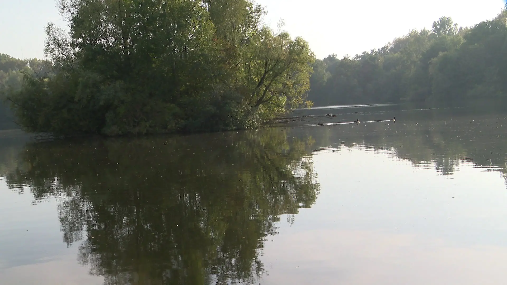 Er rief selbst die Rettungskräfte - seine Ehefrau trieb leblos in einem See